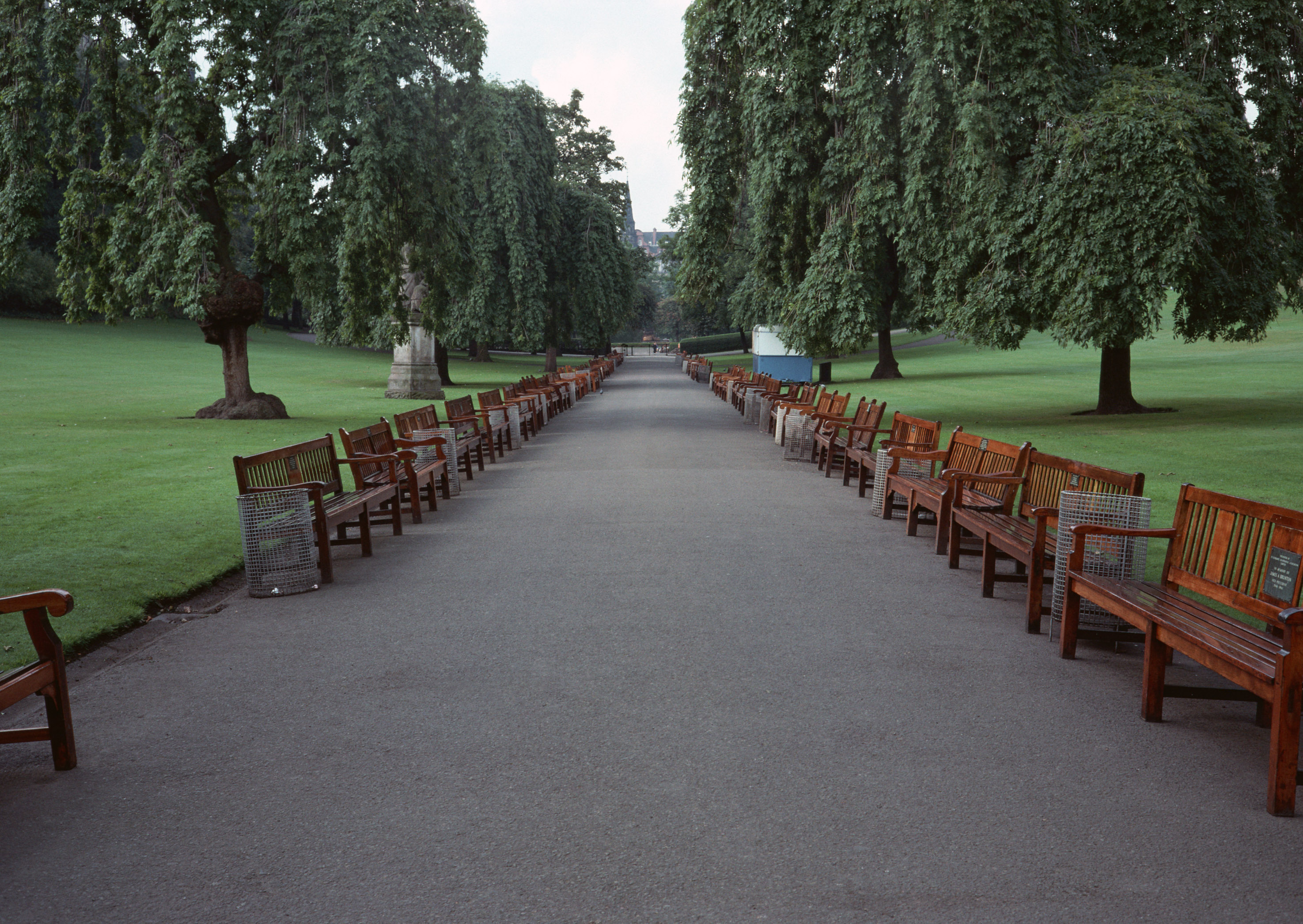 Free download high resolution image - free image free photo free stock image public domain picture -Park in Spring