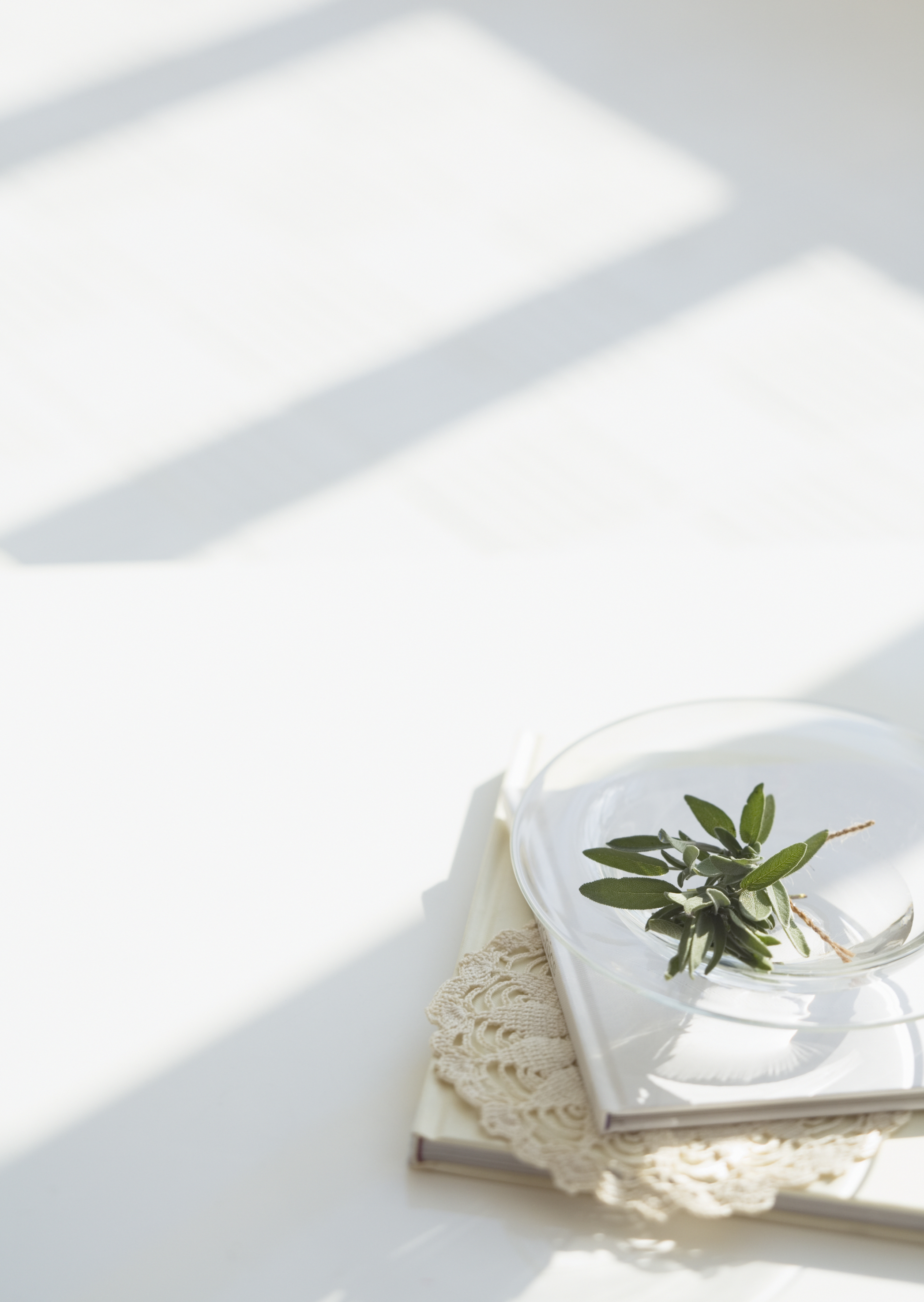 Free download high resolution image - free image free photo free stock image public domain picture -Fresh sage on glass dish