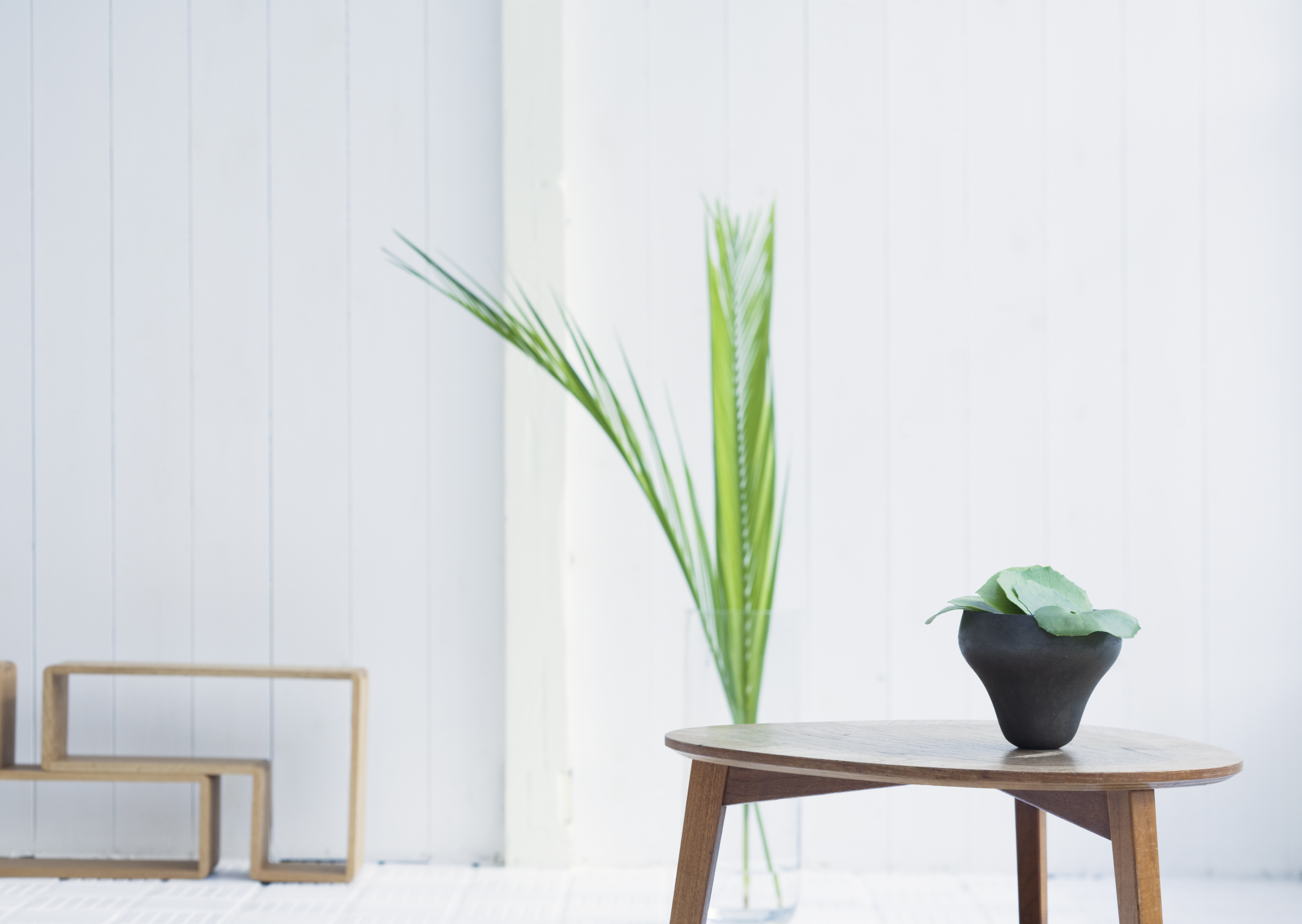 Free download high resolution image - free image free photo free stock image public domain picture -Detail of a bright modern living room with plant