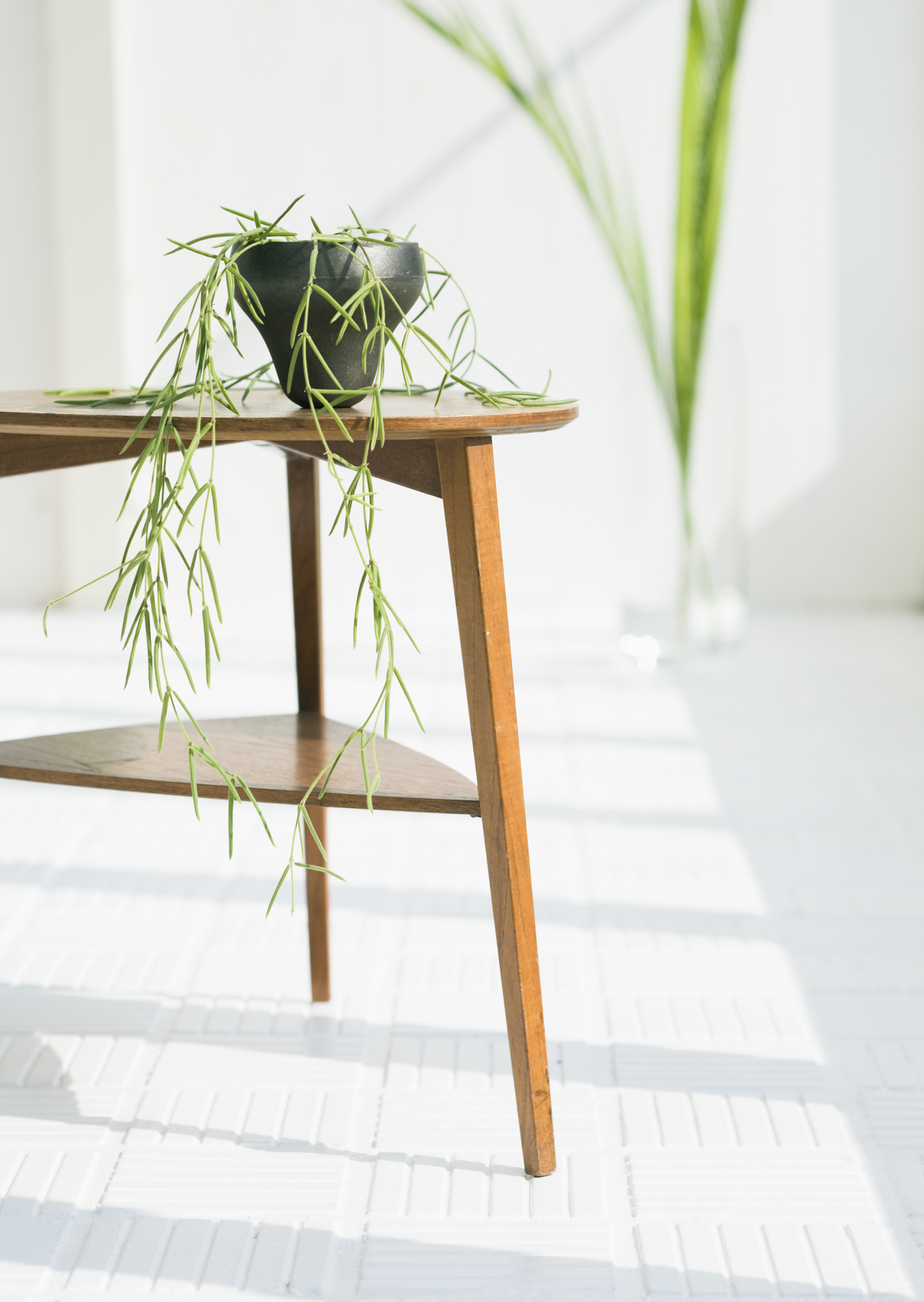 Free download high resolution image - free image free photo free stock image public domain picture -flowers pots decoration on wooden table