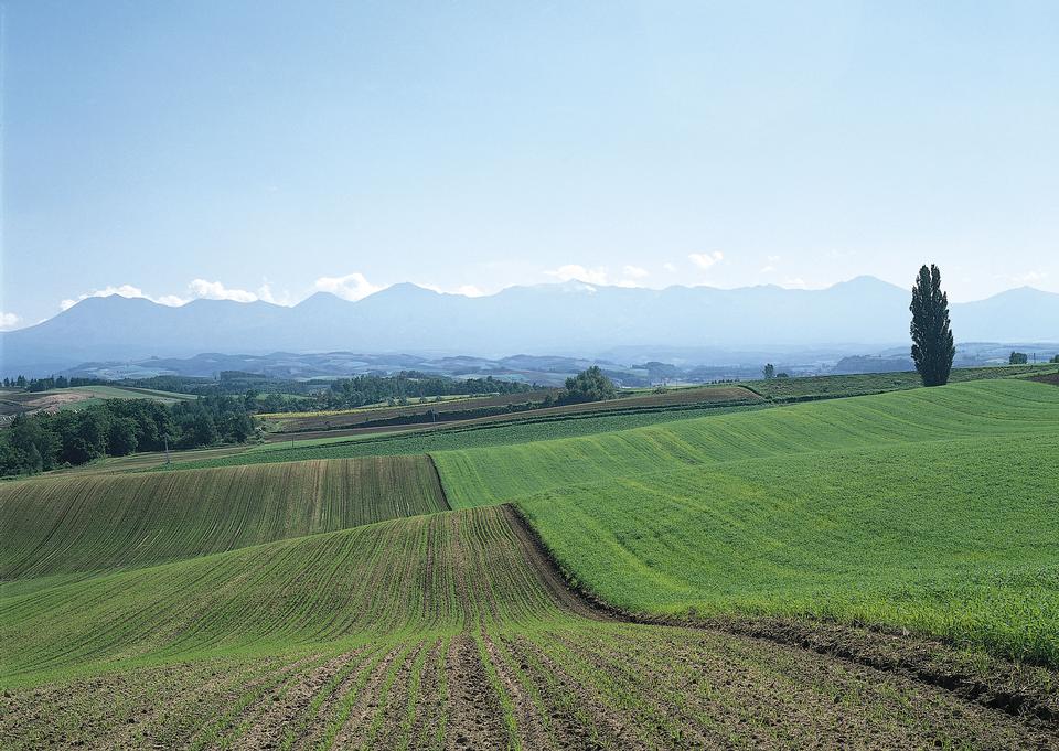 Free download high resolution image - free image free photo free stock image public domain picture  agricultural fields