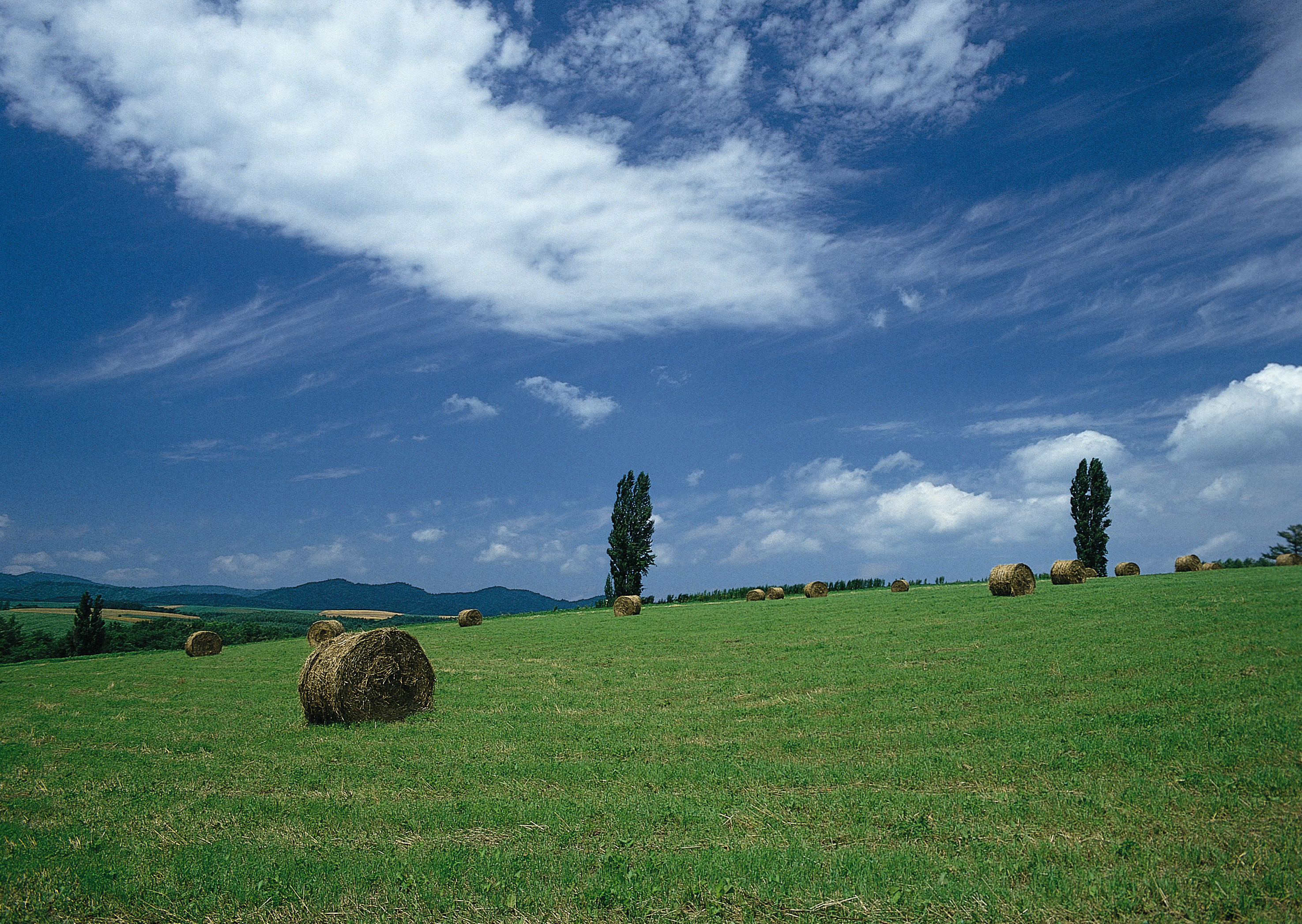 Free download high resolution image - free image free photo free stock image public domain picture -agricultural fields