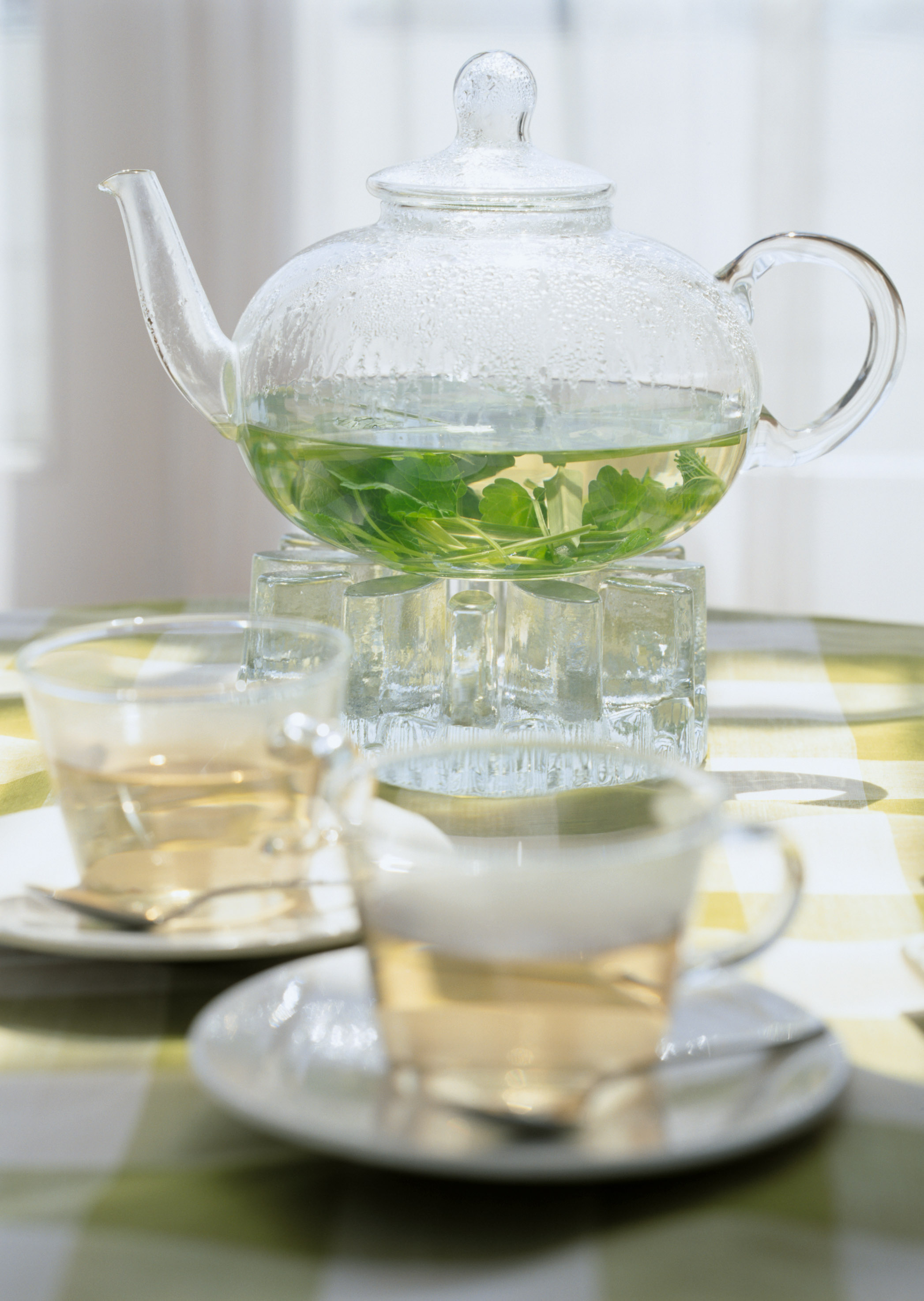 Free download high resolution image - free image free photo free stock image public domain picture -healthy green tea cup with tea leaves