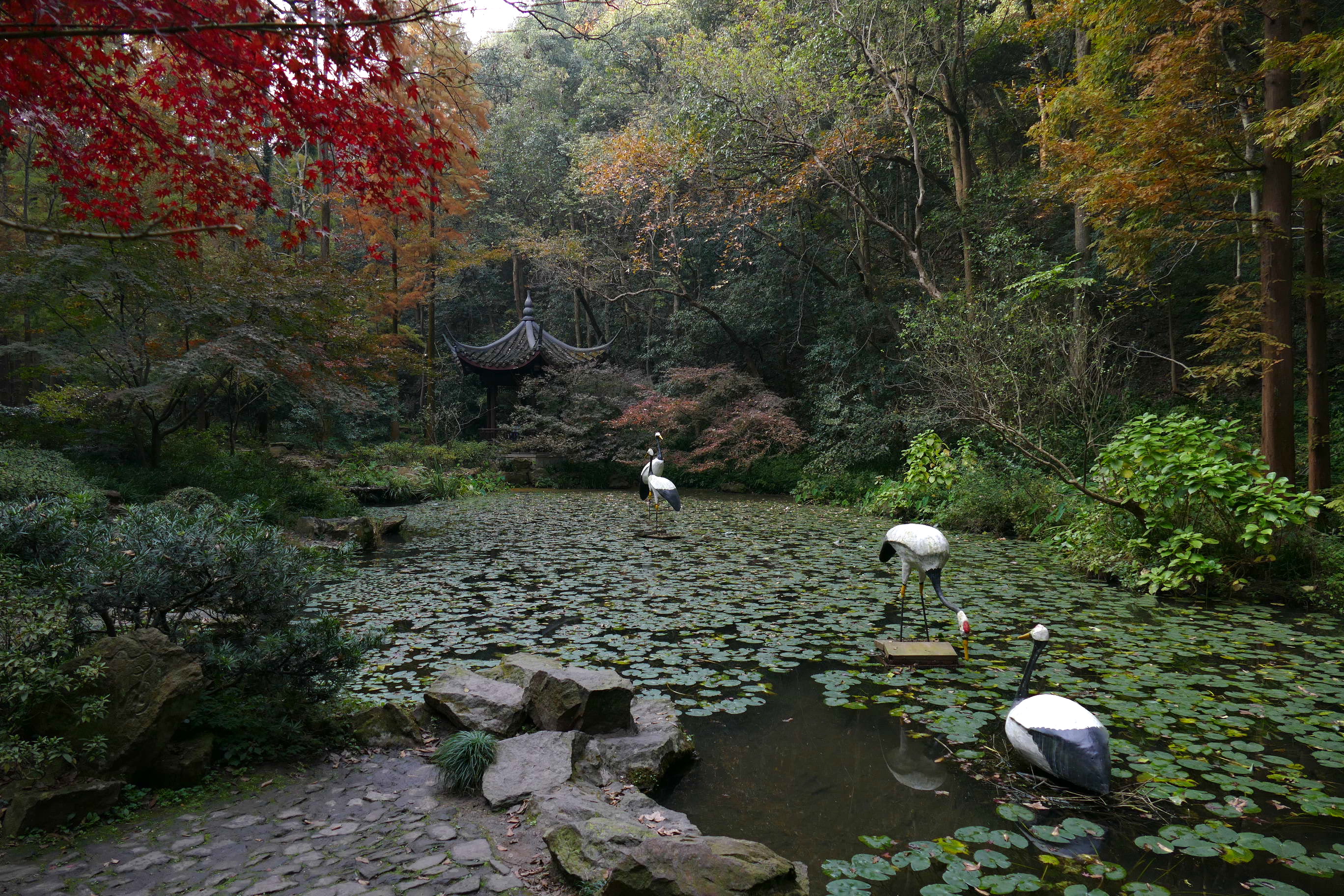 Free download high resolution image - free image free photo free stock image public domain picture -Hupaomengquan Hangzhou, Zhejiang, China