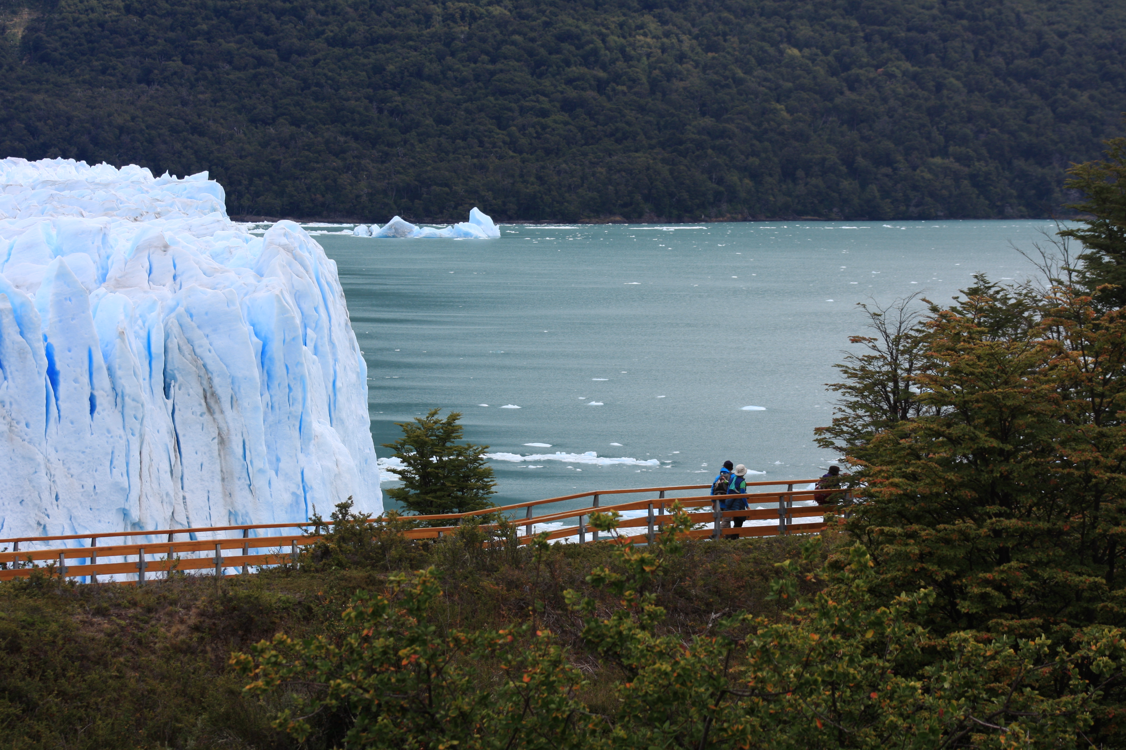 Free download high resolution image - free image free photo free stock image public domain picture -Glacier Moreno in Terra del Fuego Argentina