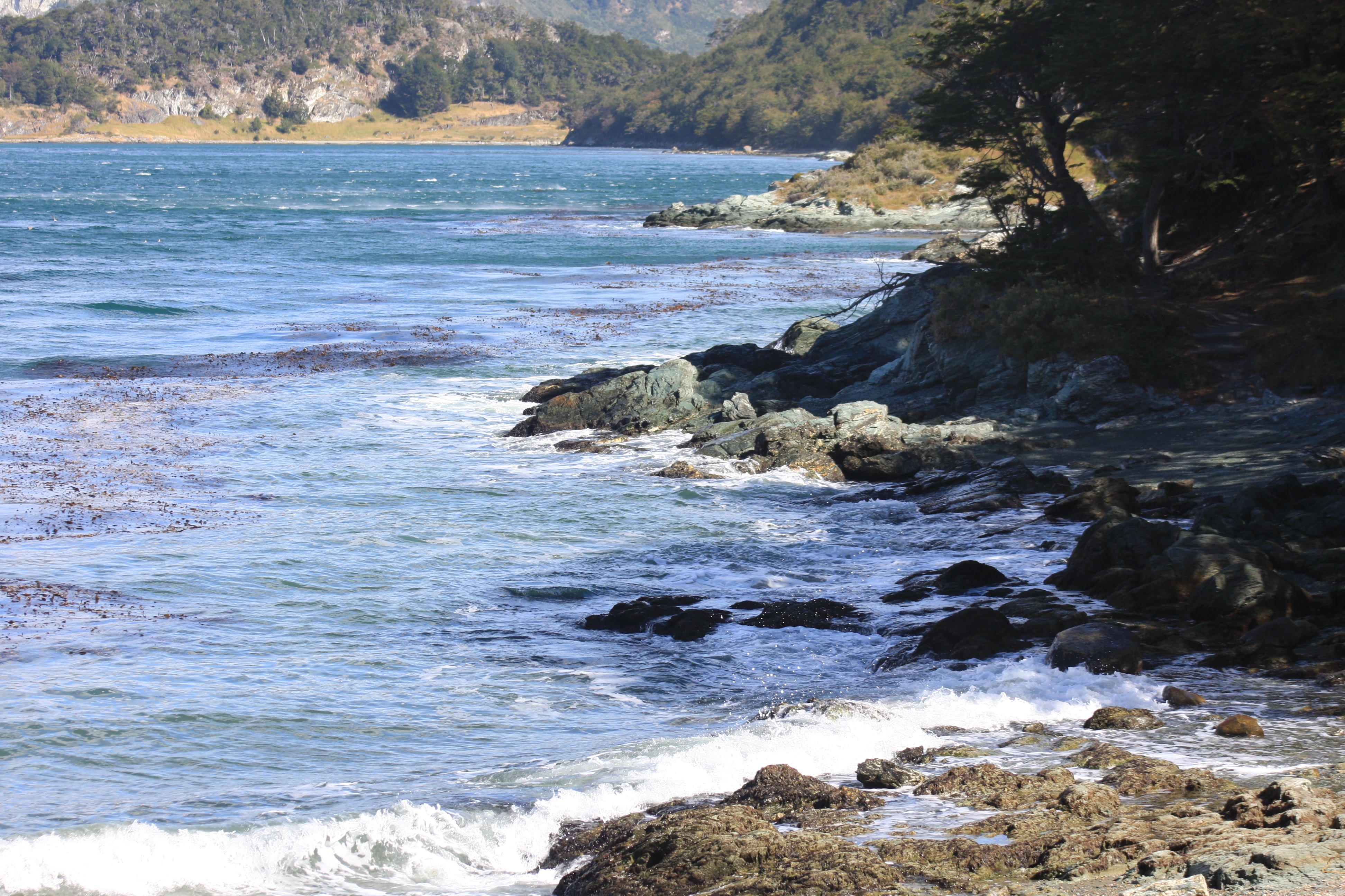 Free download high resolution image - free image free photo free stock image public domain picture -Beagle Channel in Puerto Guarani