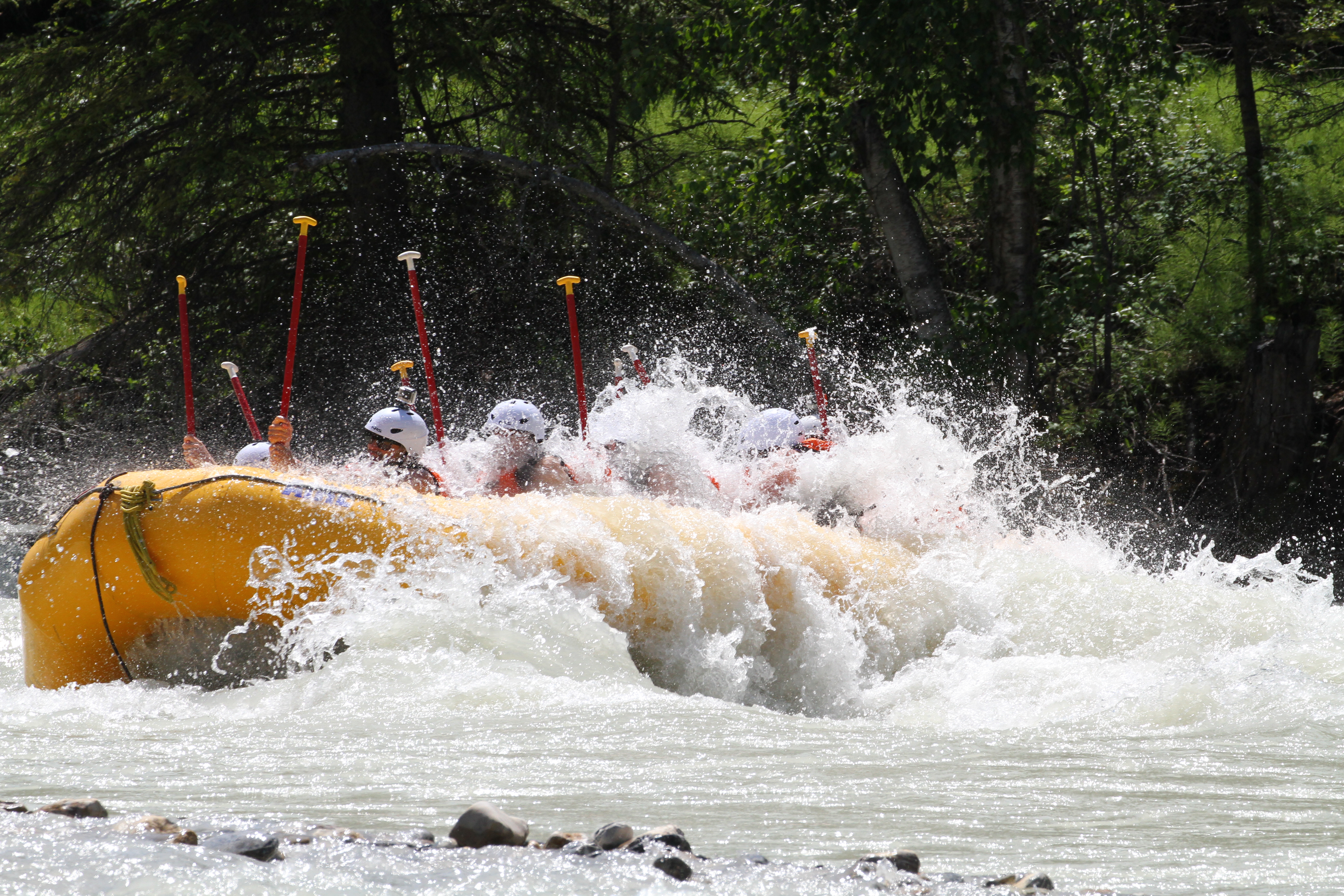 Free download high resolution image - free image free photo free stock image public domain picture -Whitewater rafting on Fraser River