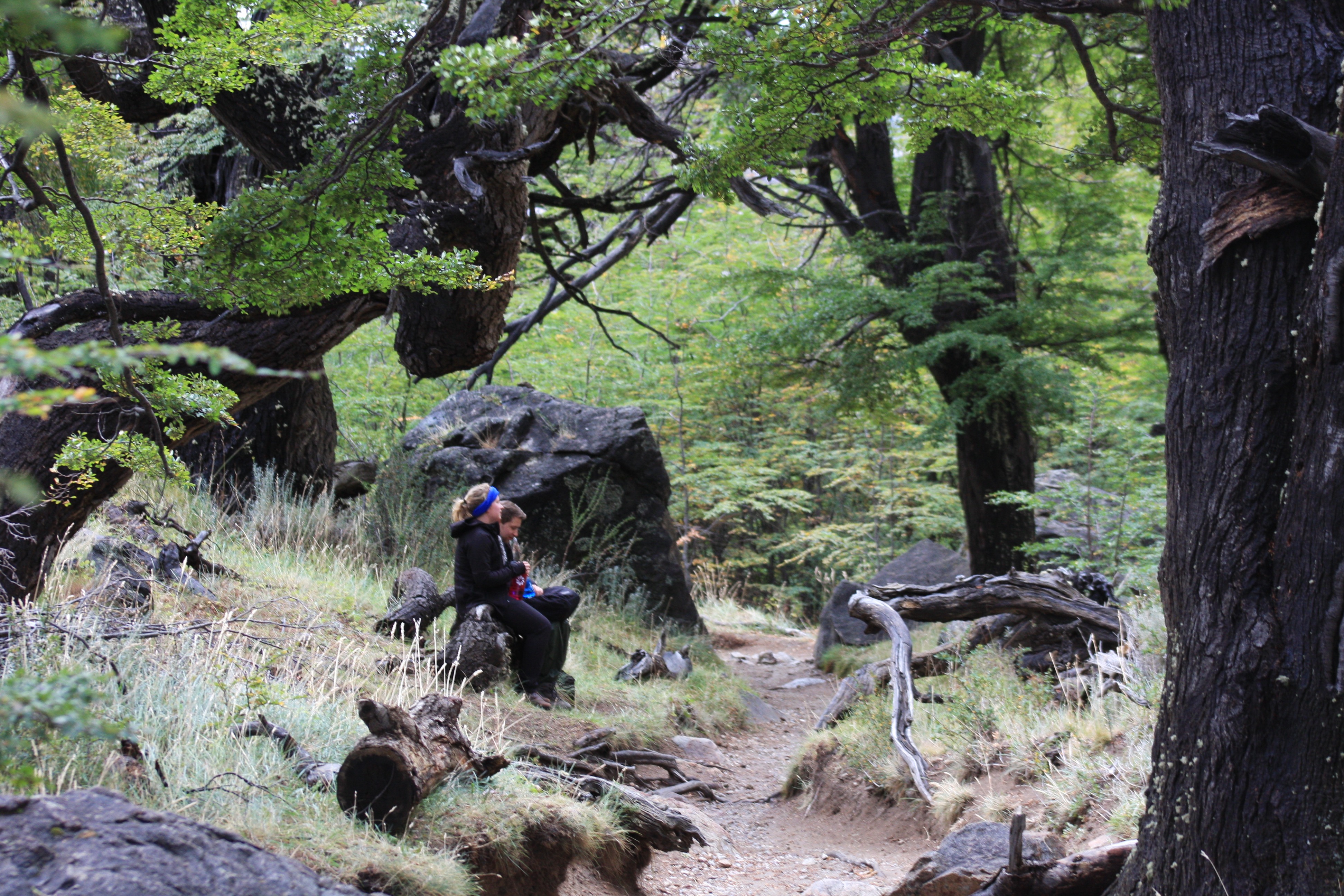 Free download high resolution image - free image free photo free stock image public domain picture -Hike in Patagonia