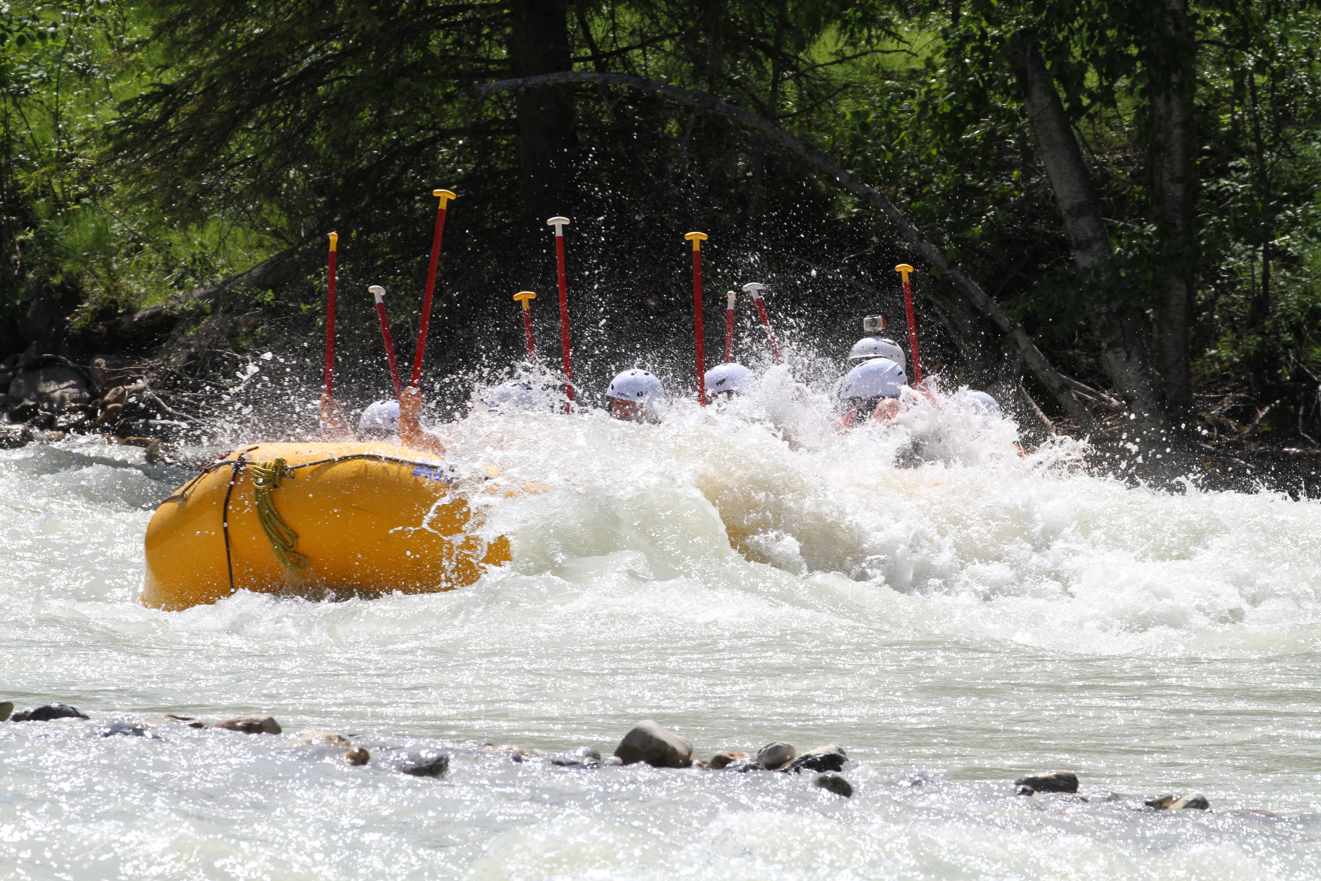 Free download high resolution image - free image free photo free stock image public domain picture -Whitewater Rafting