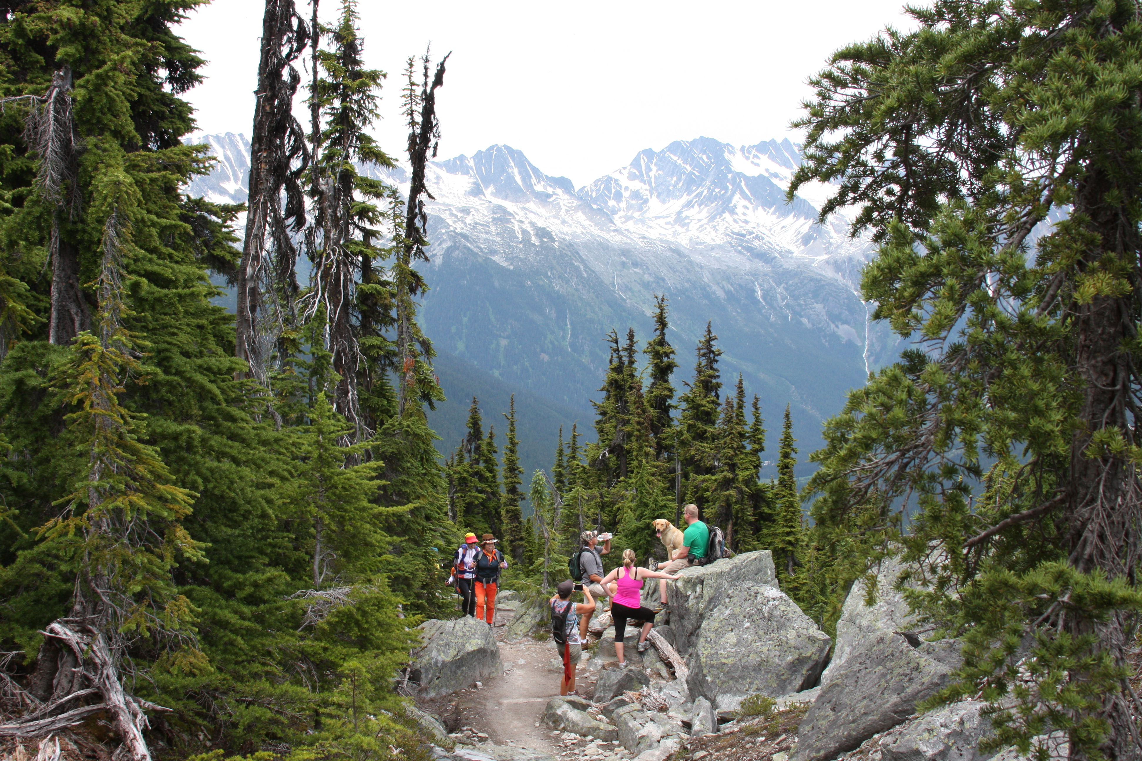 Free download high resolution image - free image free photo free stock image public domain picture -Beautiful landscape with group of tourists hiking in Rocky