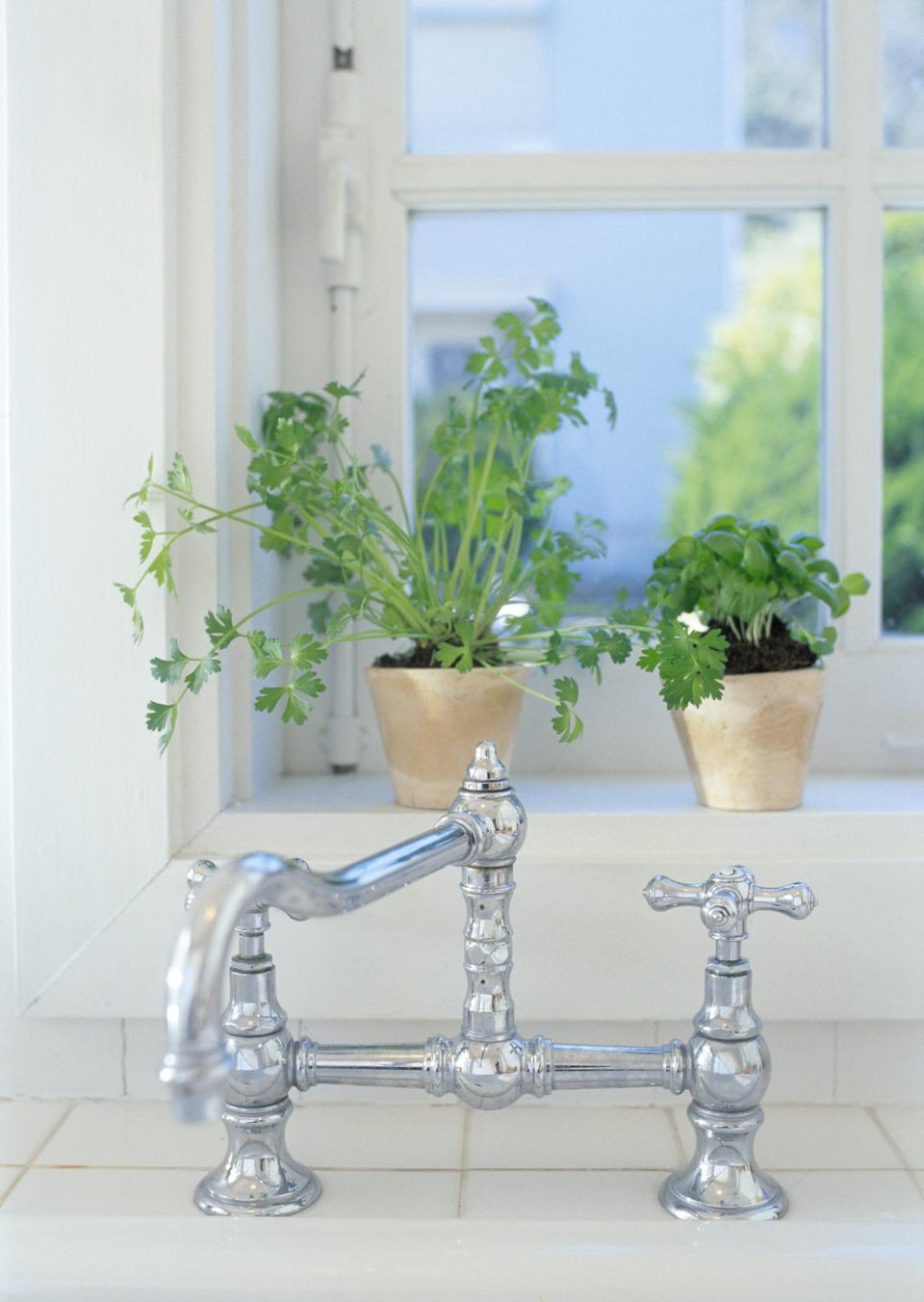 Free download high resolution image - free image free photo free stock image public domain picture  Leaves and twigs in a vintage jug on a window sill