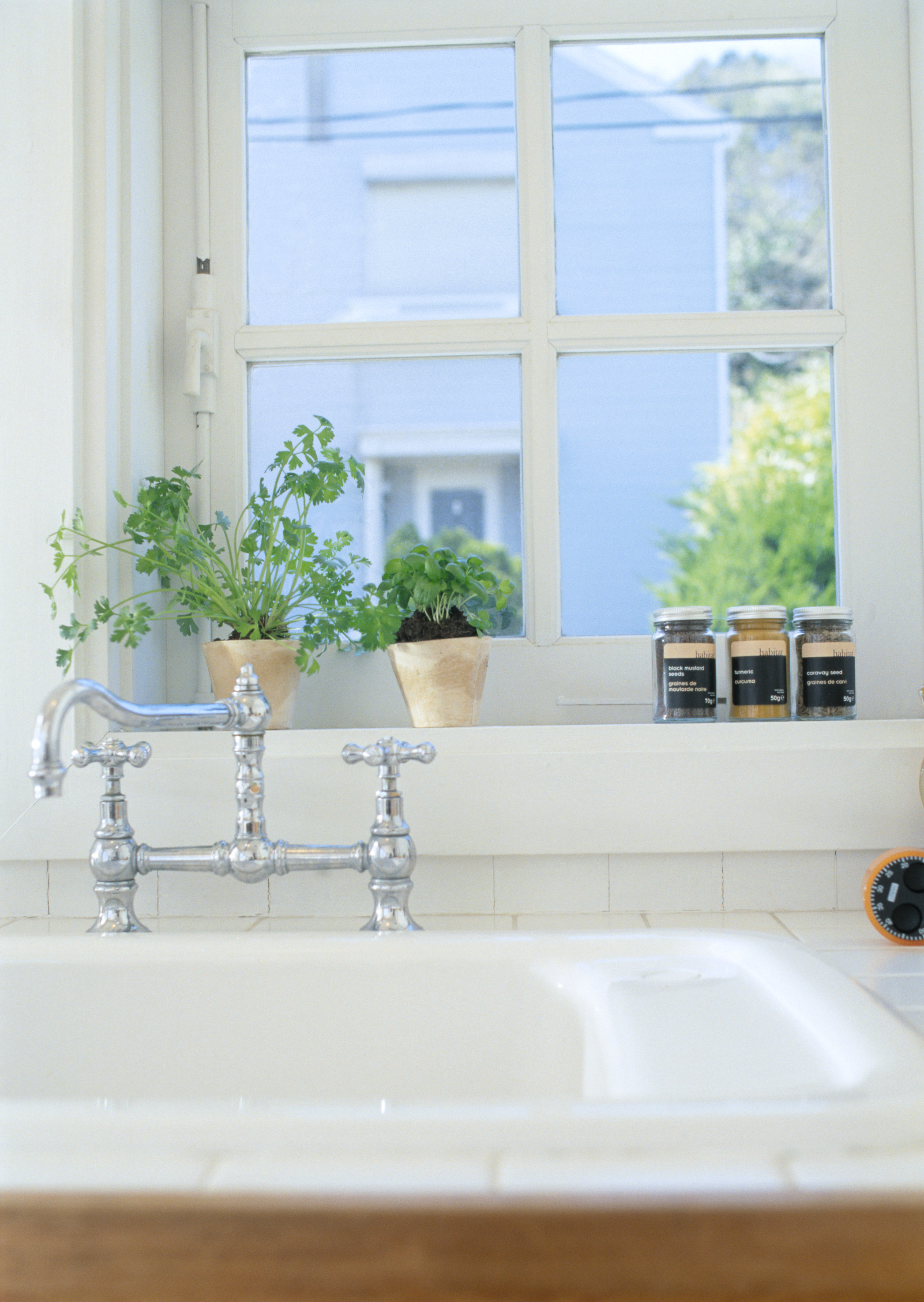 Free download high resolution image - free image free photo free stock image public domain picture -Green basil plant in a vase on the window sill