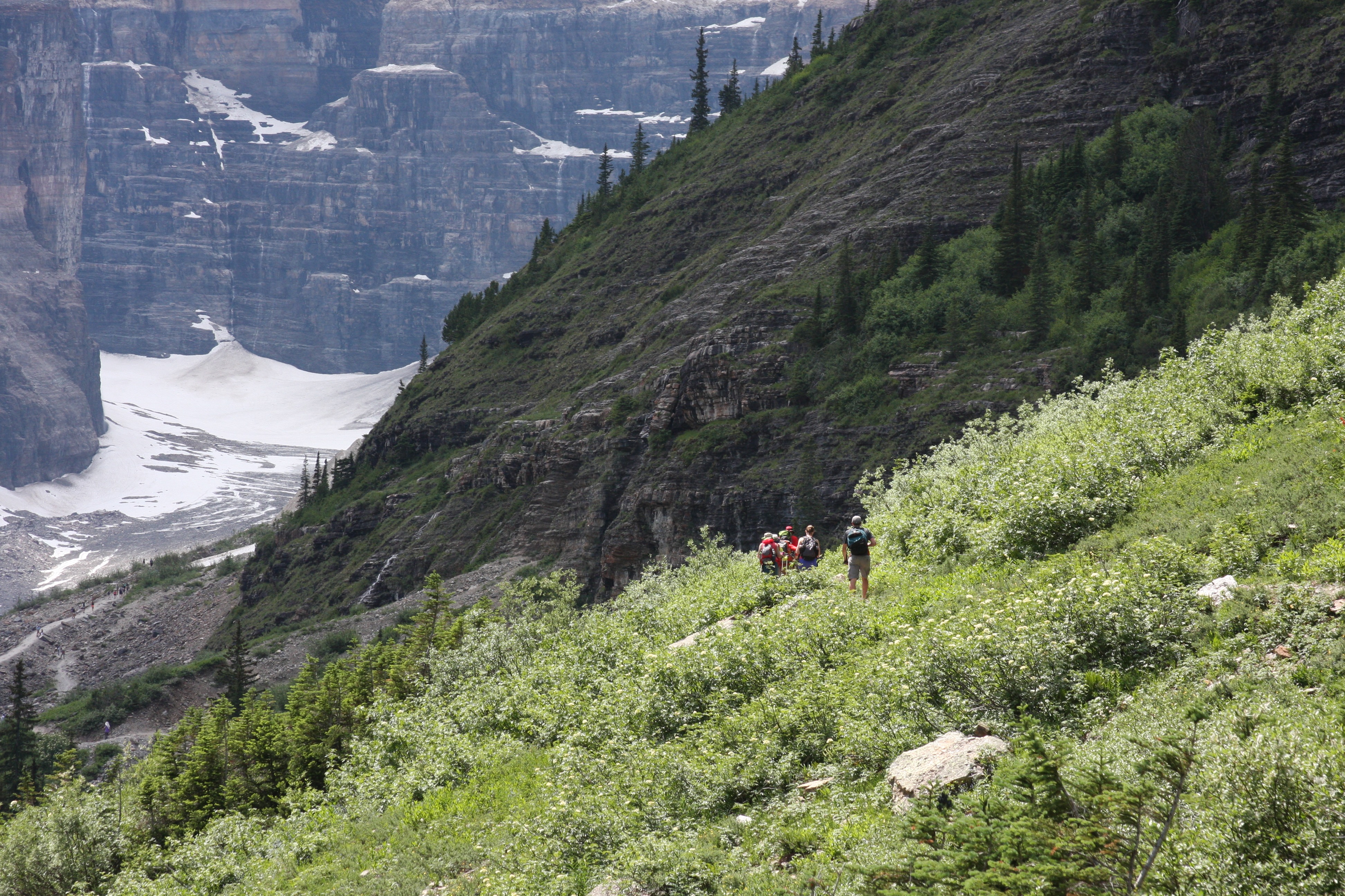 Free download high resolution image - free image free photo free stock image public domain picture -Plain of Six Glaciers Trail, Lake Louise, Banff National Park