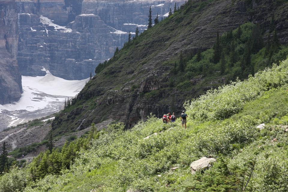 Free download high resolution image - free image free photo free stock image public domain picture  Plain of Six Glaciers Trail, Lake Louise, Banff National Park