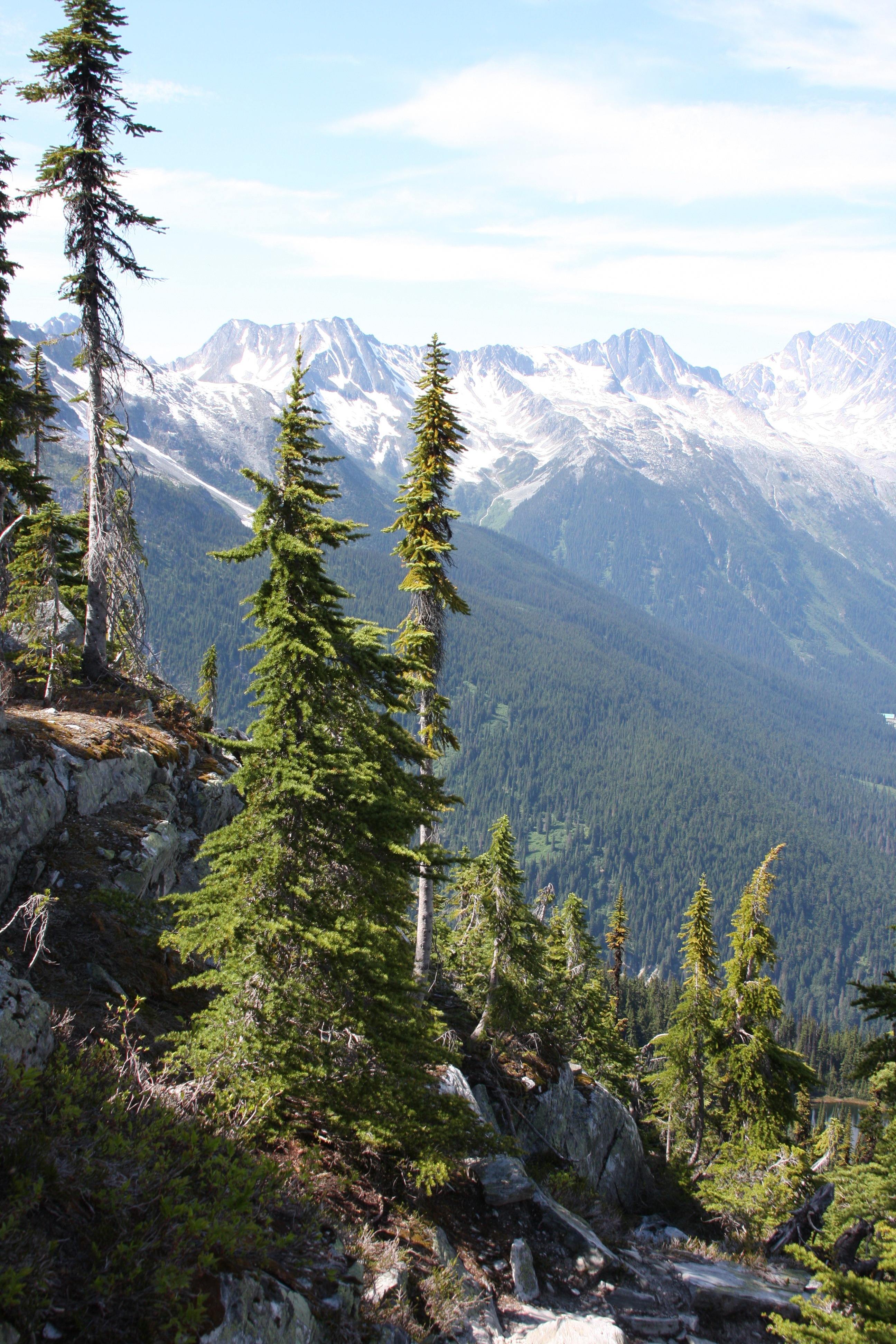 Free download high resolution image - free image free photo free stock image public domain picture -Canadian wilderness with Rocky Mountains