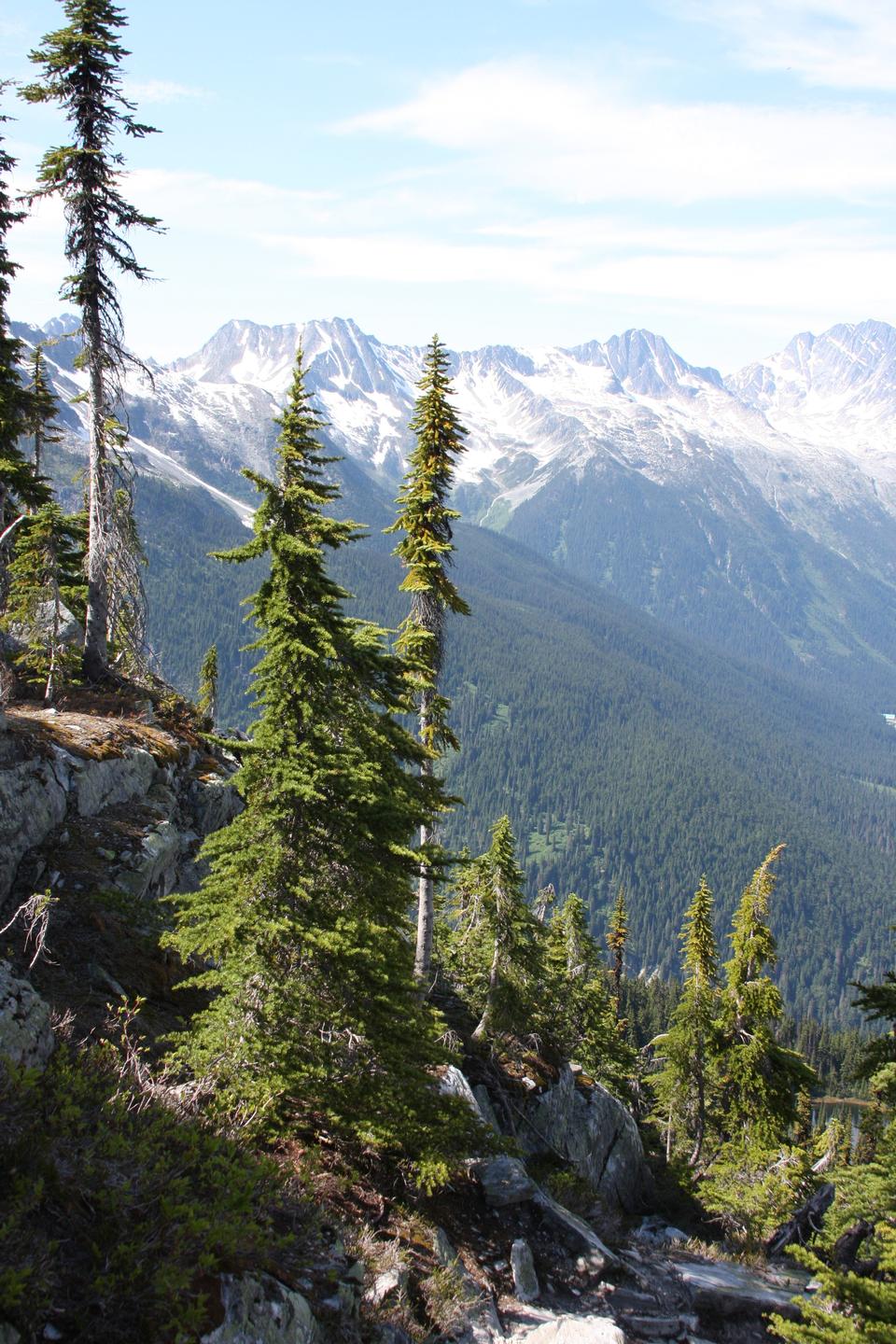 Free download high resolution image - free image free photo free stock image public domain picture  Canadian wilderness with Rocky Mountains