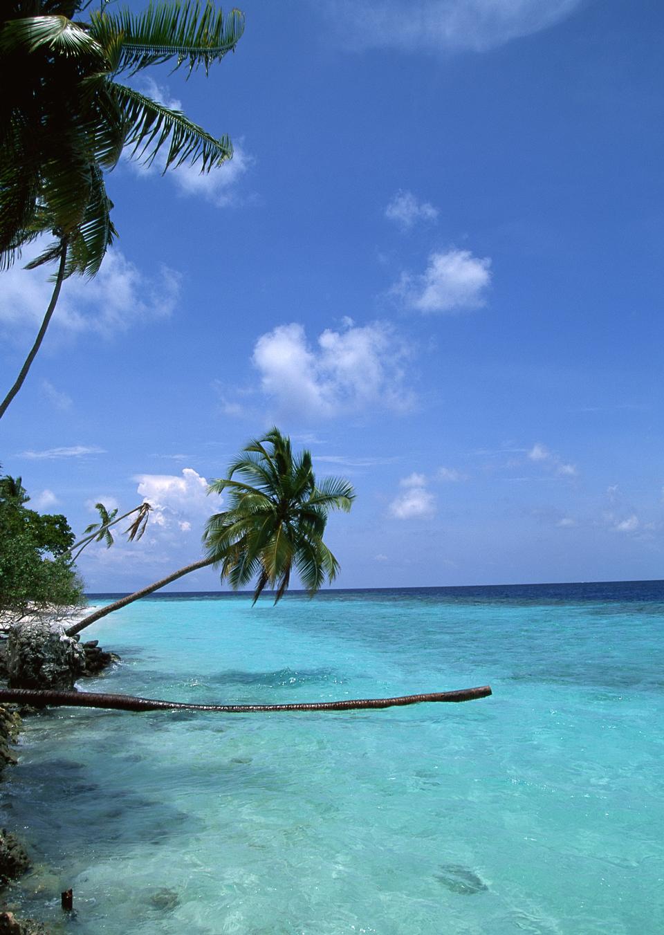 Free download high resolution image - free image free photo free stock image public domain picture  Untouched tropical beach