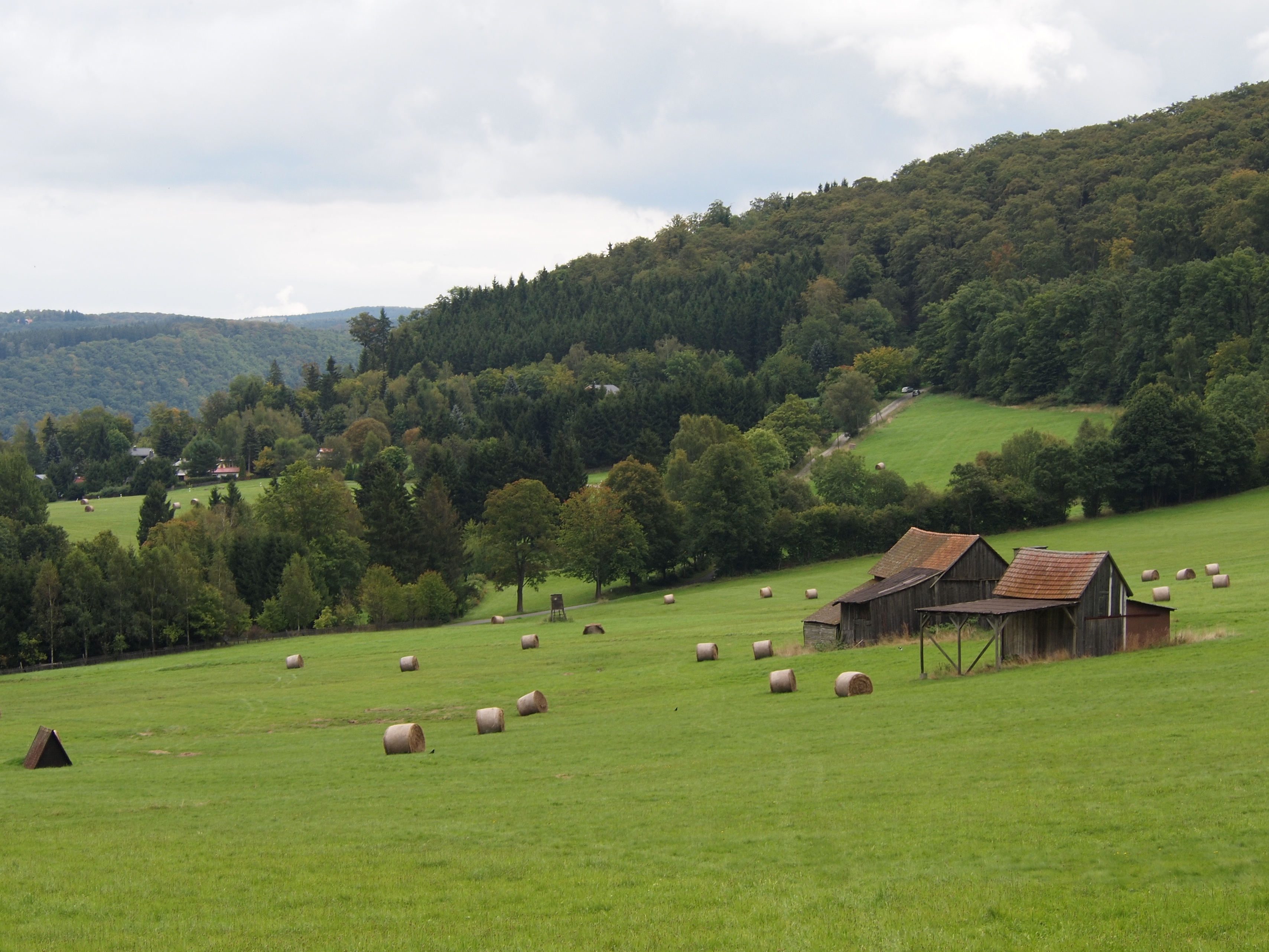 Free download high resolution image - free image free photo free stock image public domain picture -Stacks in a green field