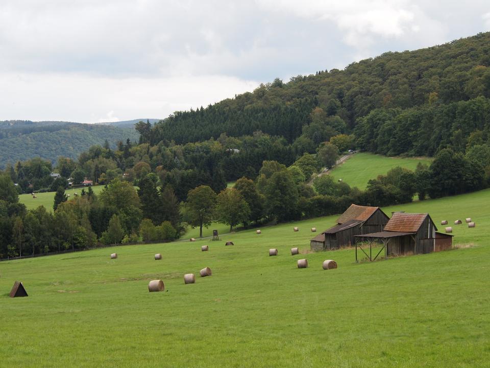 Free download high resolution image - free image free photo free stock image public domain picture  Stacks in a green field