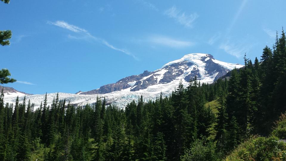 Free download high resolution image - free image free photo free stock image public domain picture  Wildflowers Blooming on Mount Baker