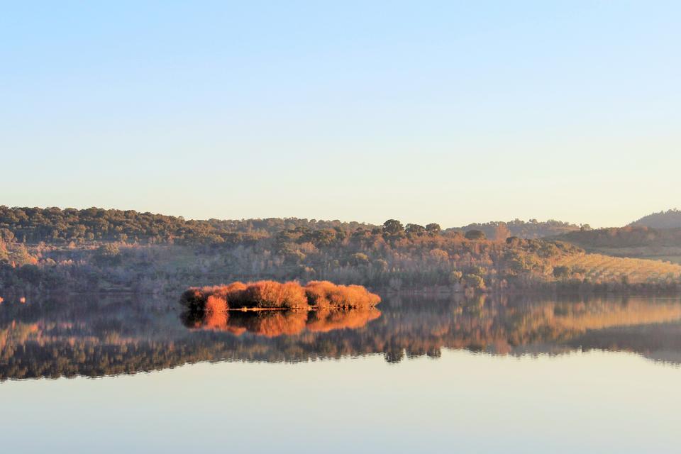 Free download high resolution image - free image free photo free stock image public domain picture  Beautiful forest reflecting on calm lake shore