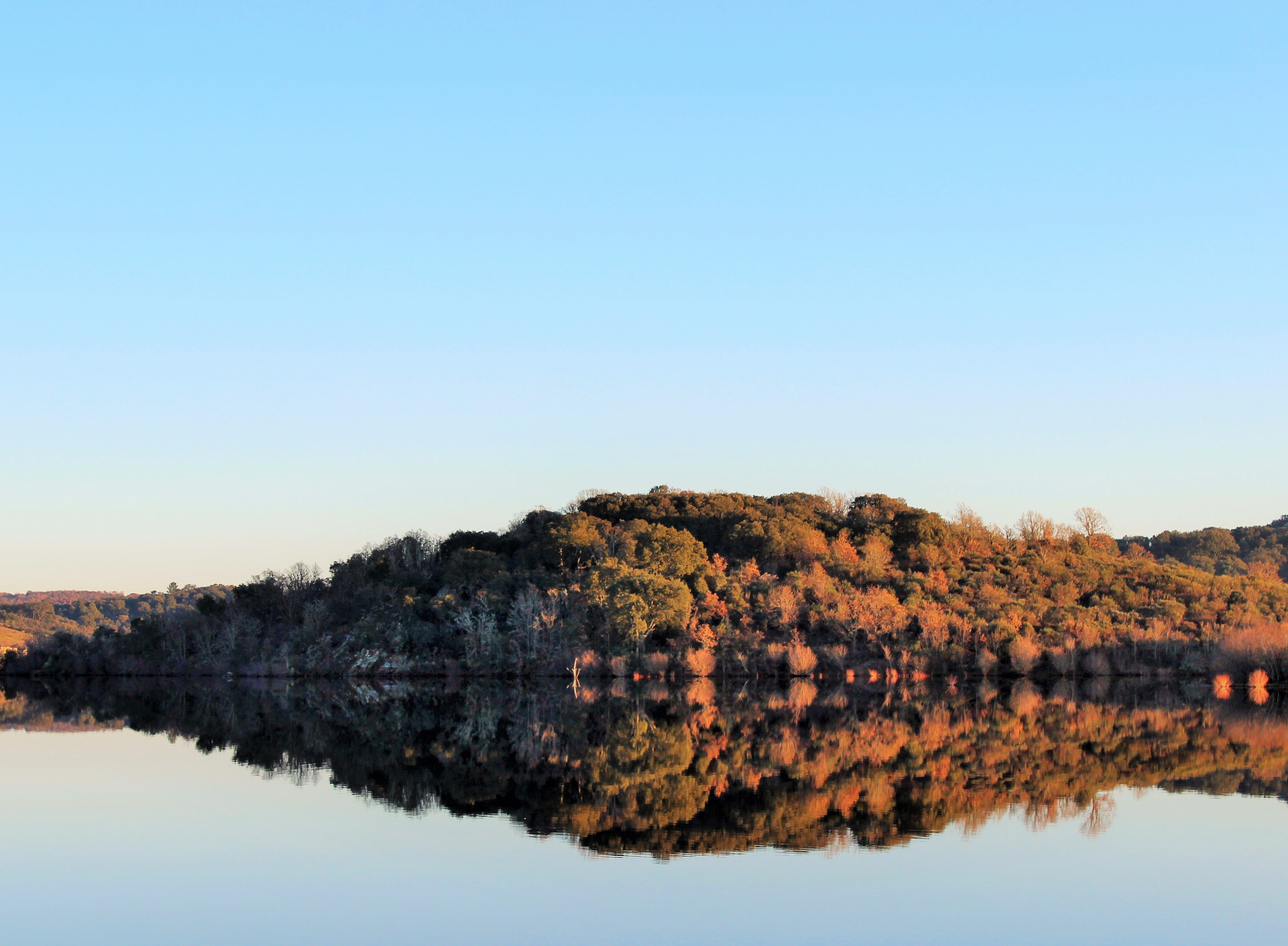 Free download high resolution image - free image free photo free stock image public domain picture -Beautiful forest reflecting on calm lake shore