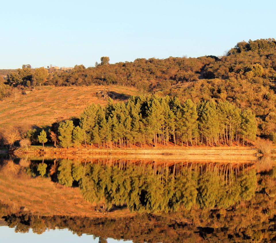 Free download high resolution image - free image free photo free stock image public domain picture  Beautiful forest reflecting on calm lake shore