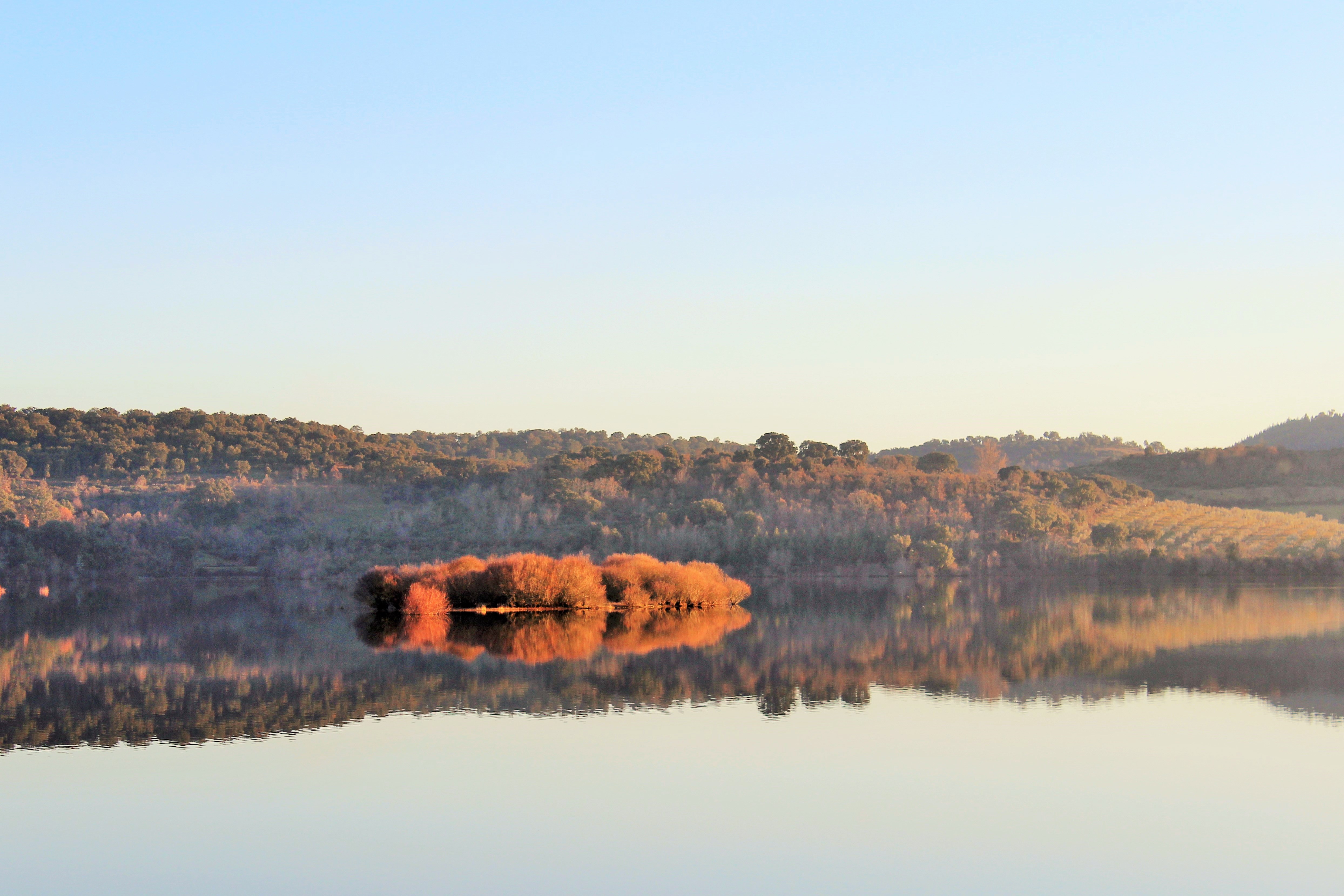 Free download high resolution image - free image free photo free stock image public domain picture -Beautiful forest reflecting on calm lake shore