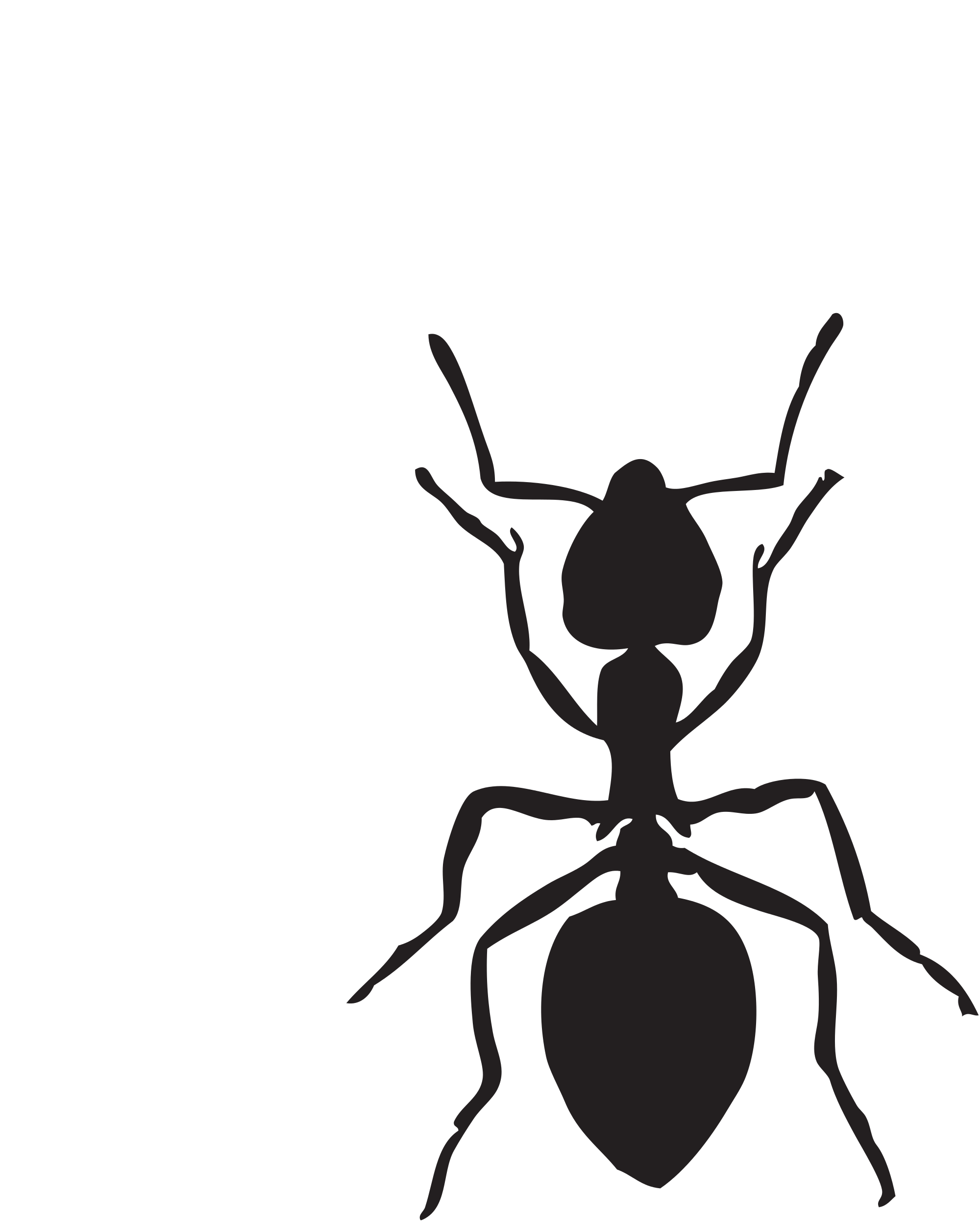 Free download high resolution image - free image free photo free stock image public domain picture -Ant clipart