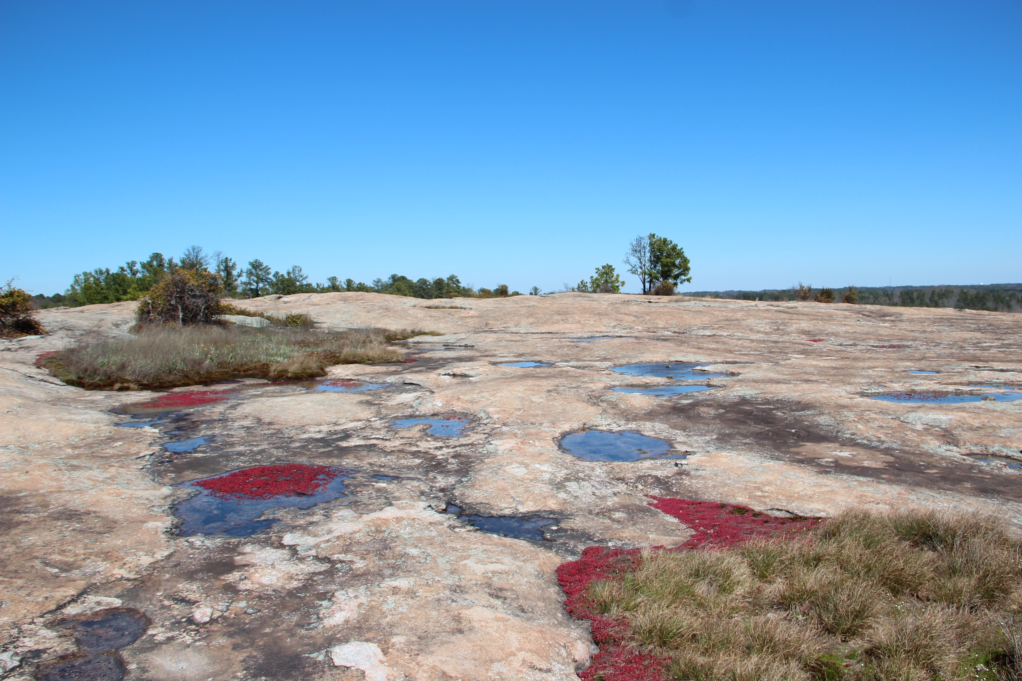 Free download high resolution image - free image free photo free stock image public domain picture -water pools at Arabia Mountain near Atlanta, Georgia