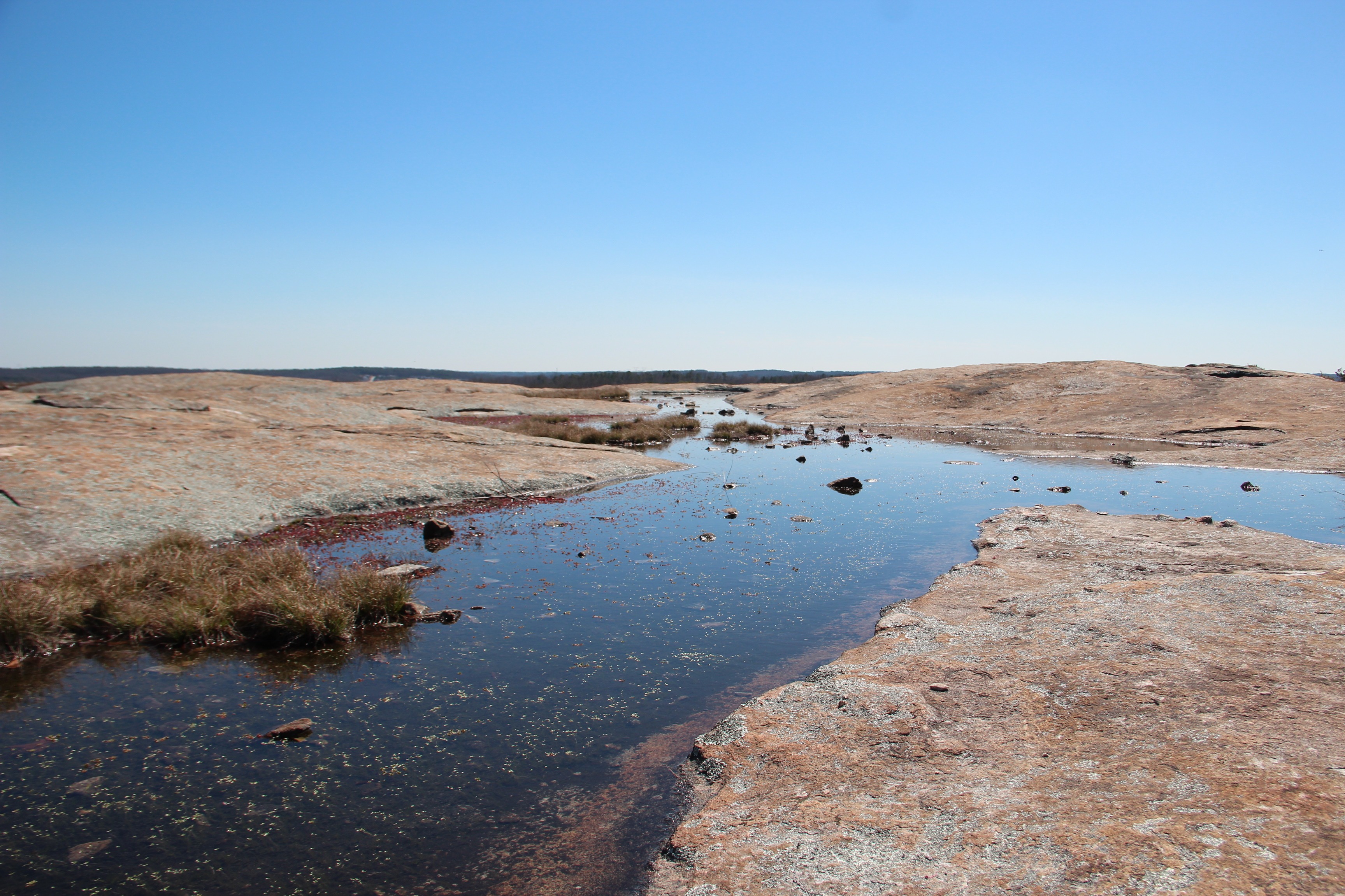 Free download high resolution image - free image free photo free stock image public domain picture -water pools at Arabia Mountain near Atlanta, Georgia