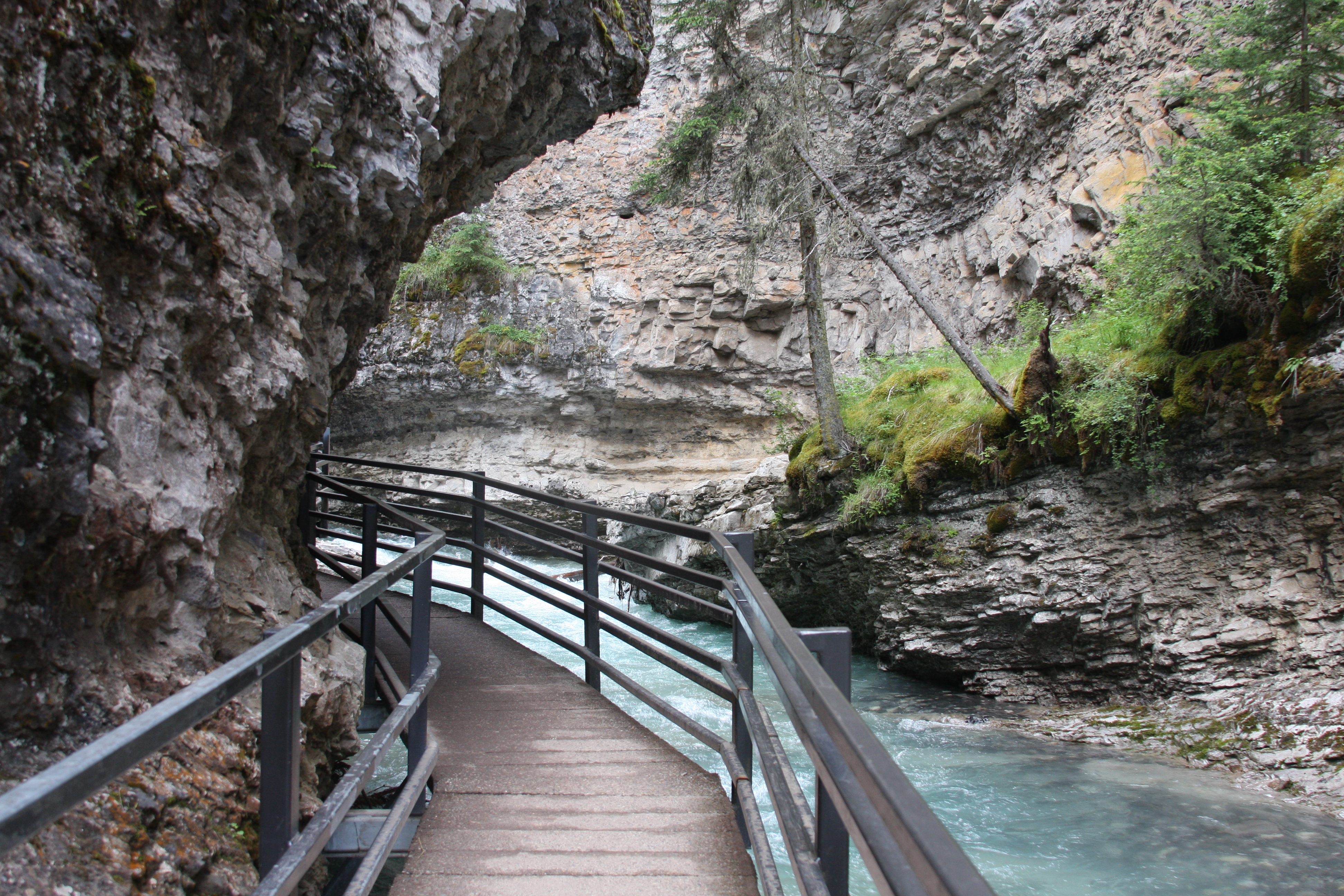 Free download high resolution image - free image free photo free stock image public domain picture -Johnston Canyon walkway in Banff National Park