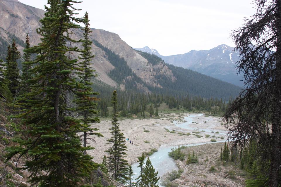 Free download high resolution image - free image free photo free stock image public domain picture  Temple pass trail in Banff National Park, Alberta, Canada