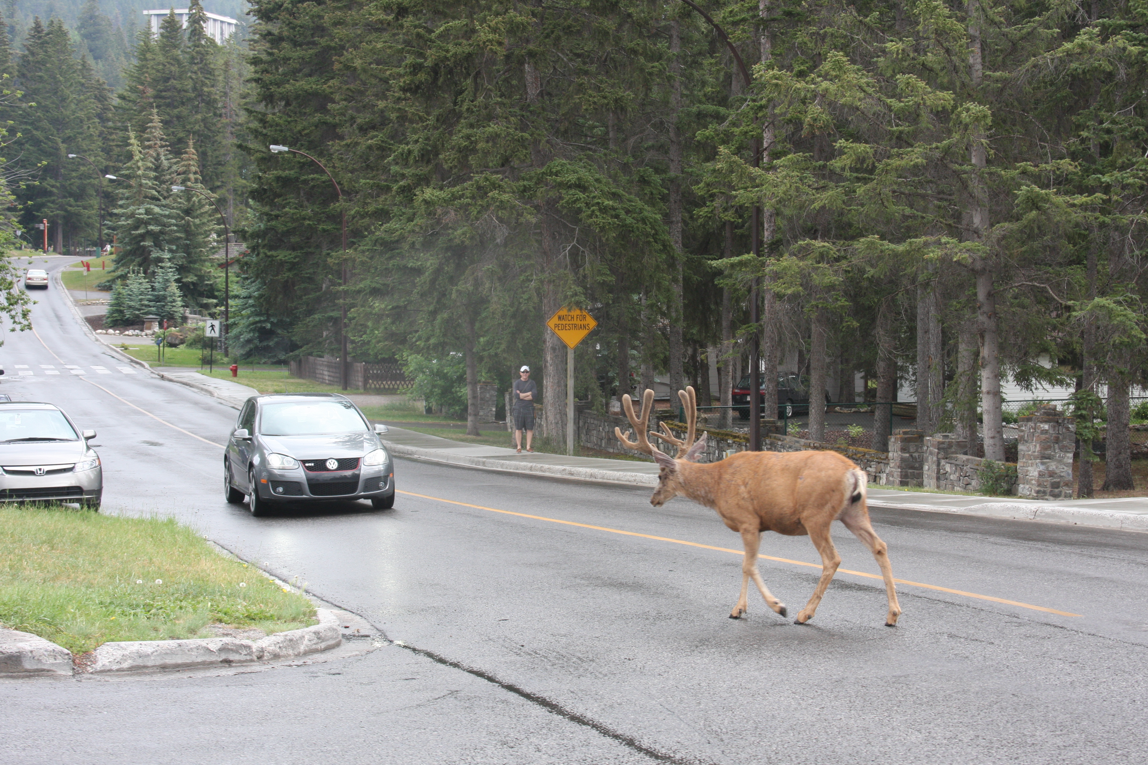 Free download high resolution image - free image free photo free stock image public domain picture -Banff Avenue shops Alberta, Canada