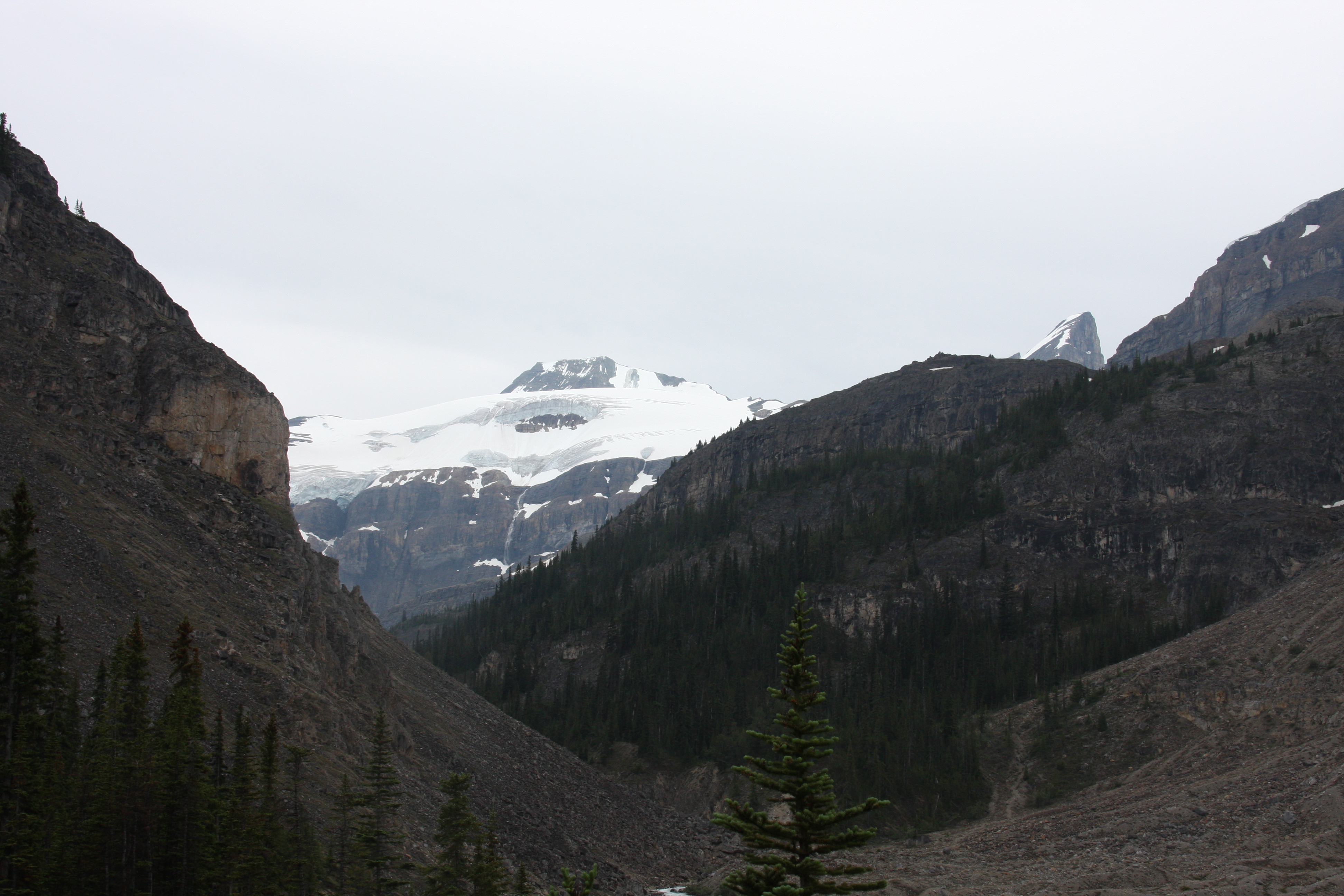 Free download high resolution image - free image free photo free stock image public domain picture -Temple pass trail in Banff National Park, Alberta, Canada