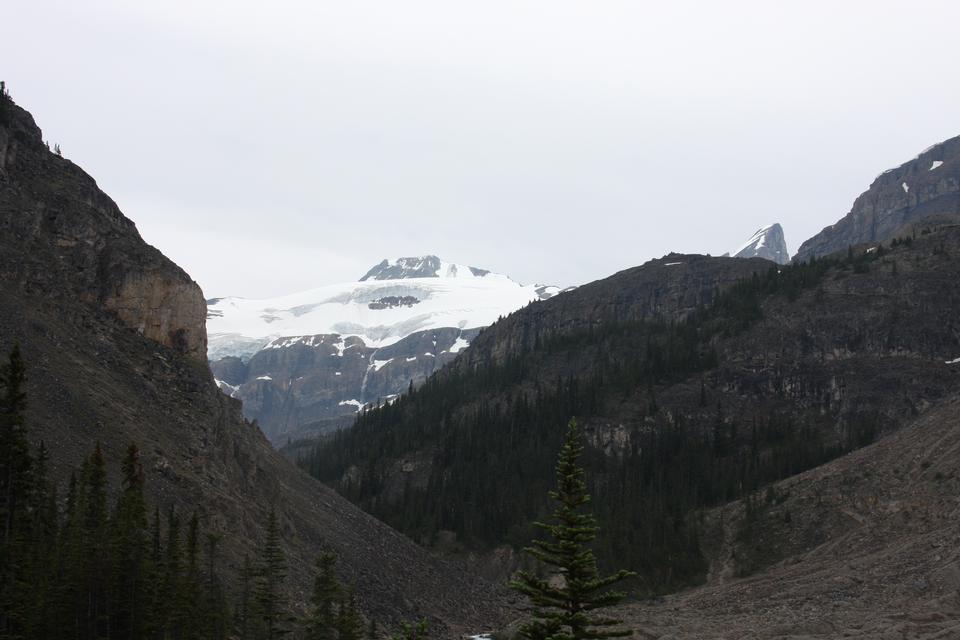 Free download high resolution image - free image free photo free stock image public domain picture  Temple pass trail in Banff National Park, Alberta, Canada