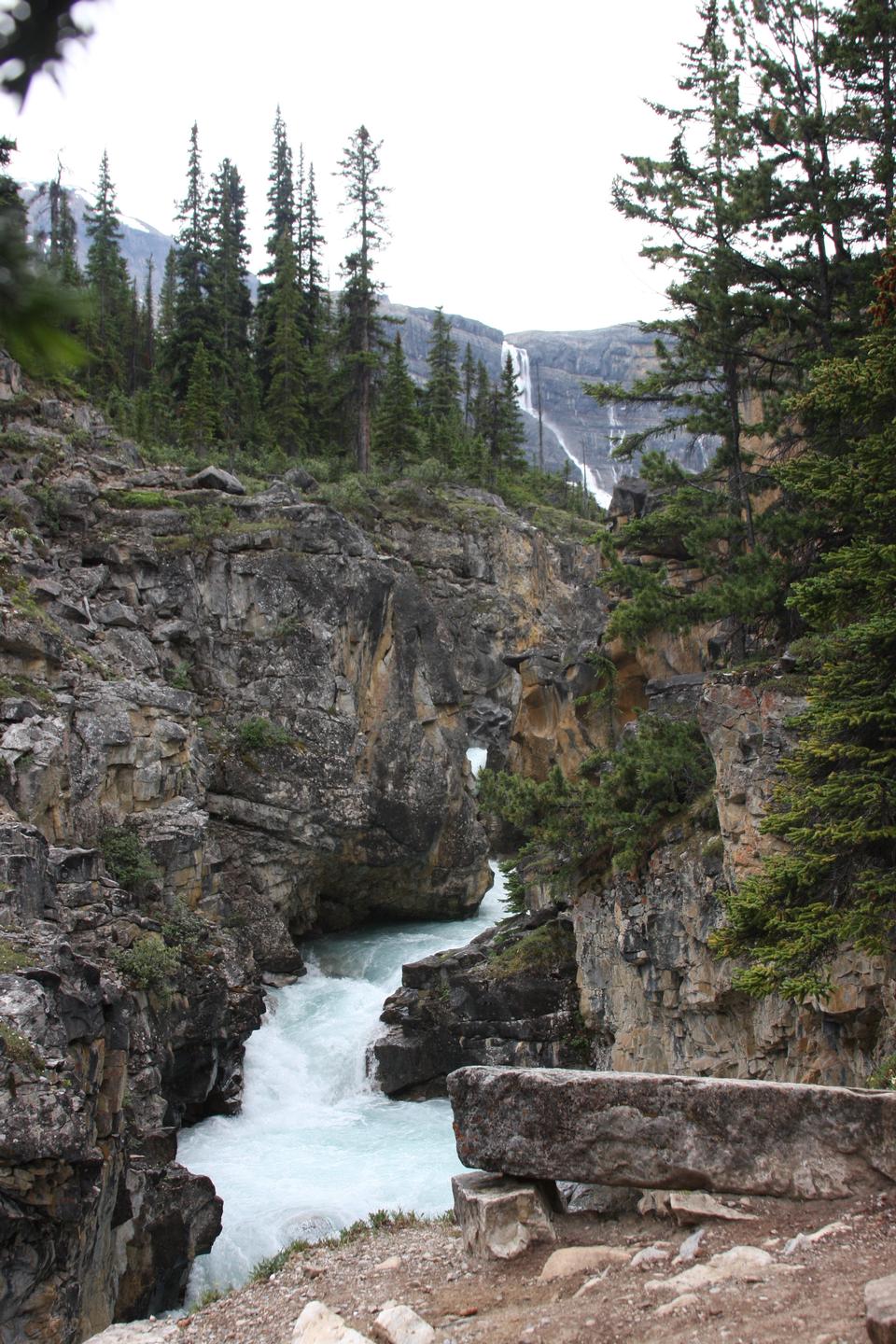 Free download high resolution image - free image free photo free stock image public domain picture  Temple pass trail in Banff National Park, Alberta, Canada