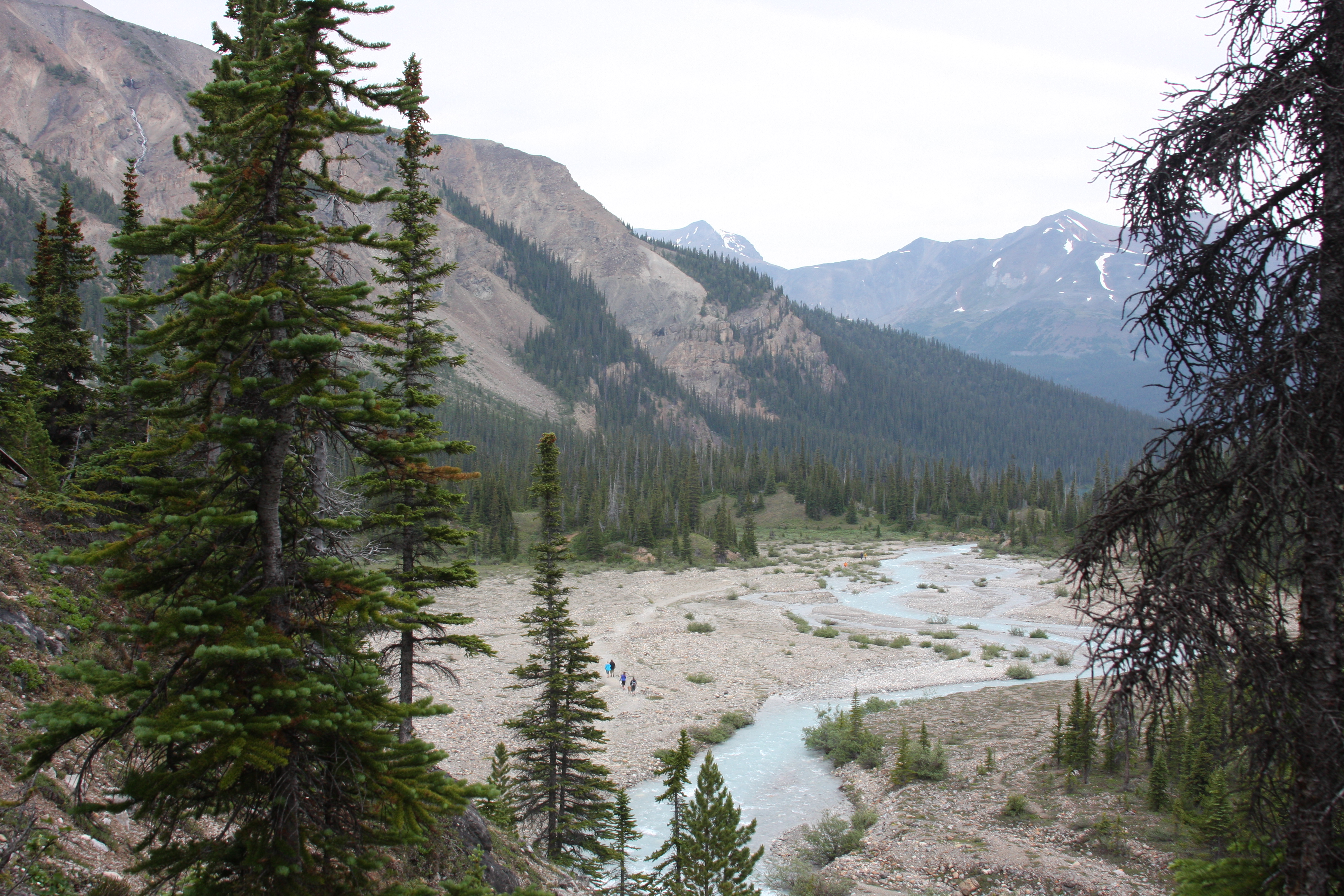 Free download high resolution image - free image free photo free stock image public domain picture -Temple pass trail in Banff National Park, Alberta, Canada