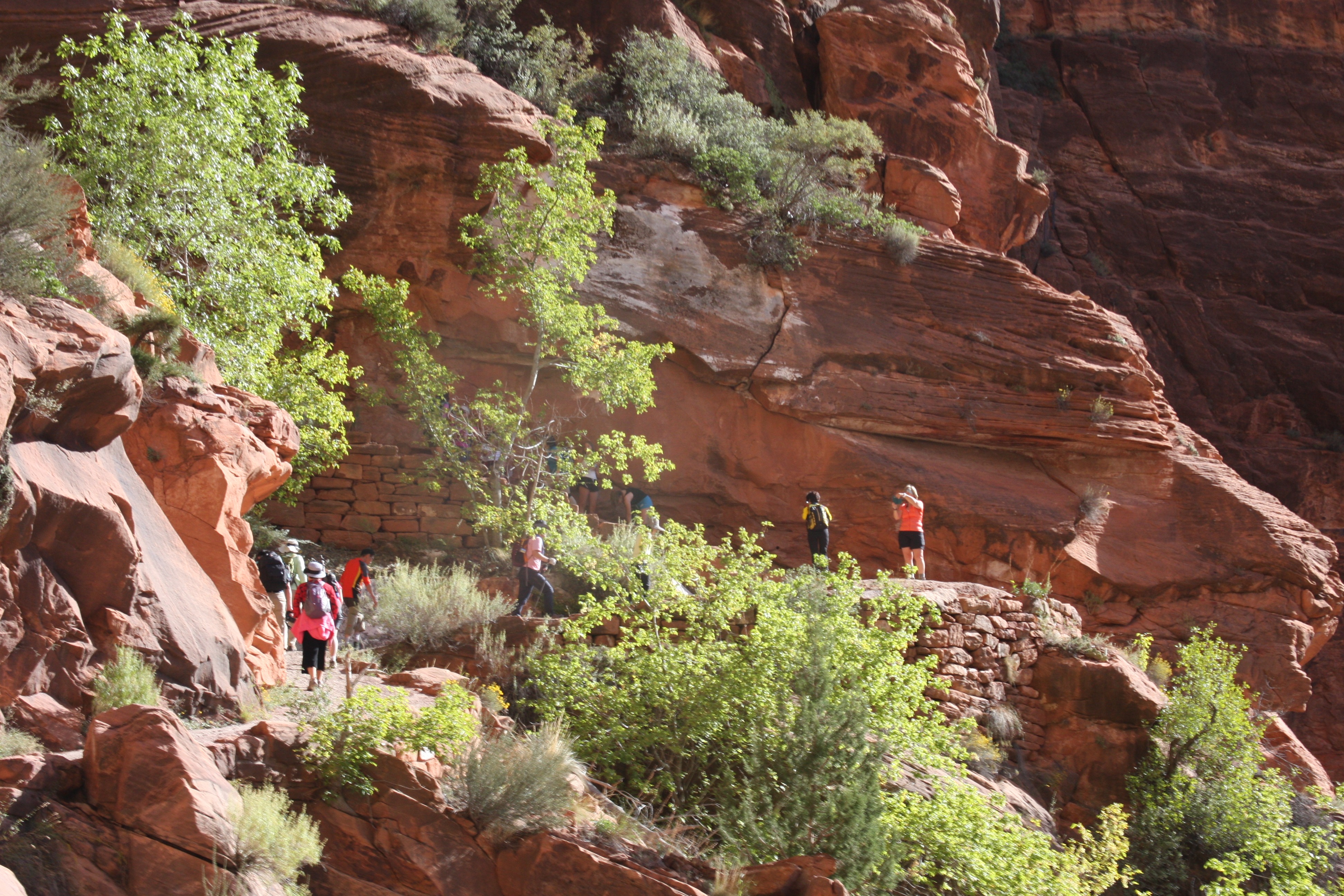 Free download high resolution image - free image free photo free stock image public domain picture -Zion Canyon from Angels Landing,in Zion National Park