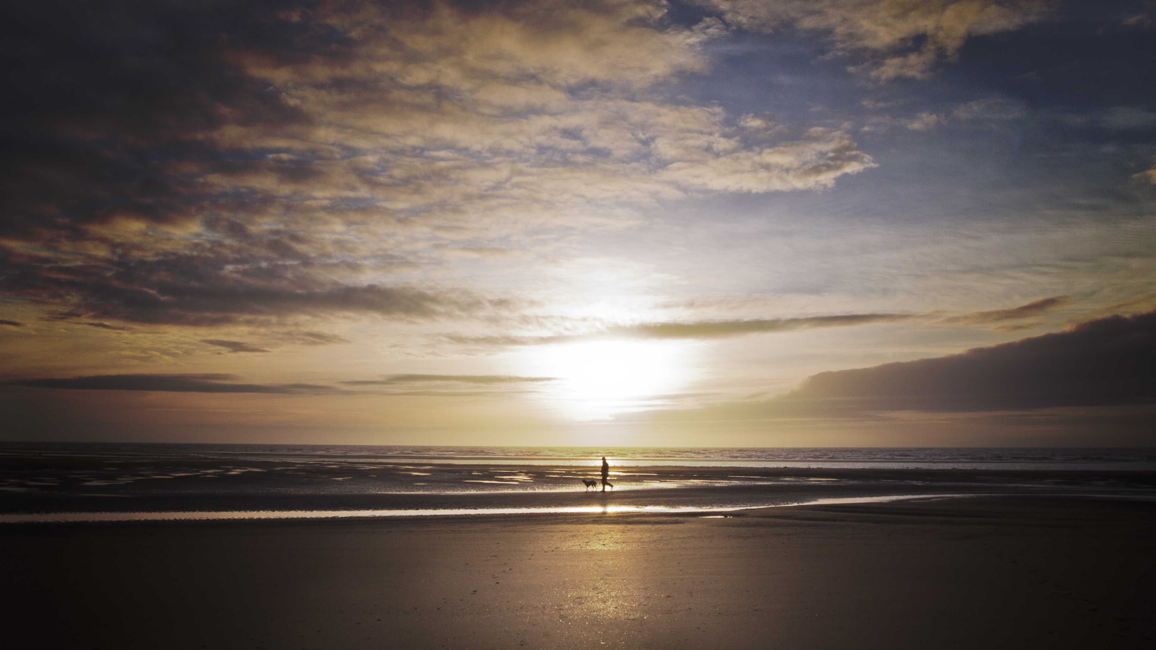 Free download high resolution image - free image free photo free stock image public domain picture -man walking wit dog on beach