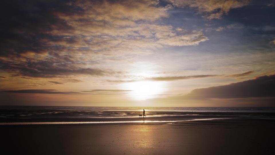 Free download high resolution image - free image free photo free stock image public domain picture  man walking wit dog on beach