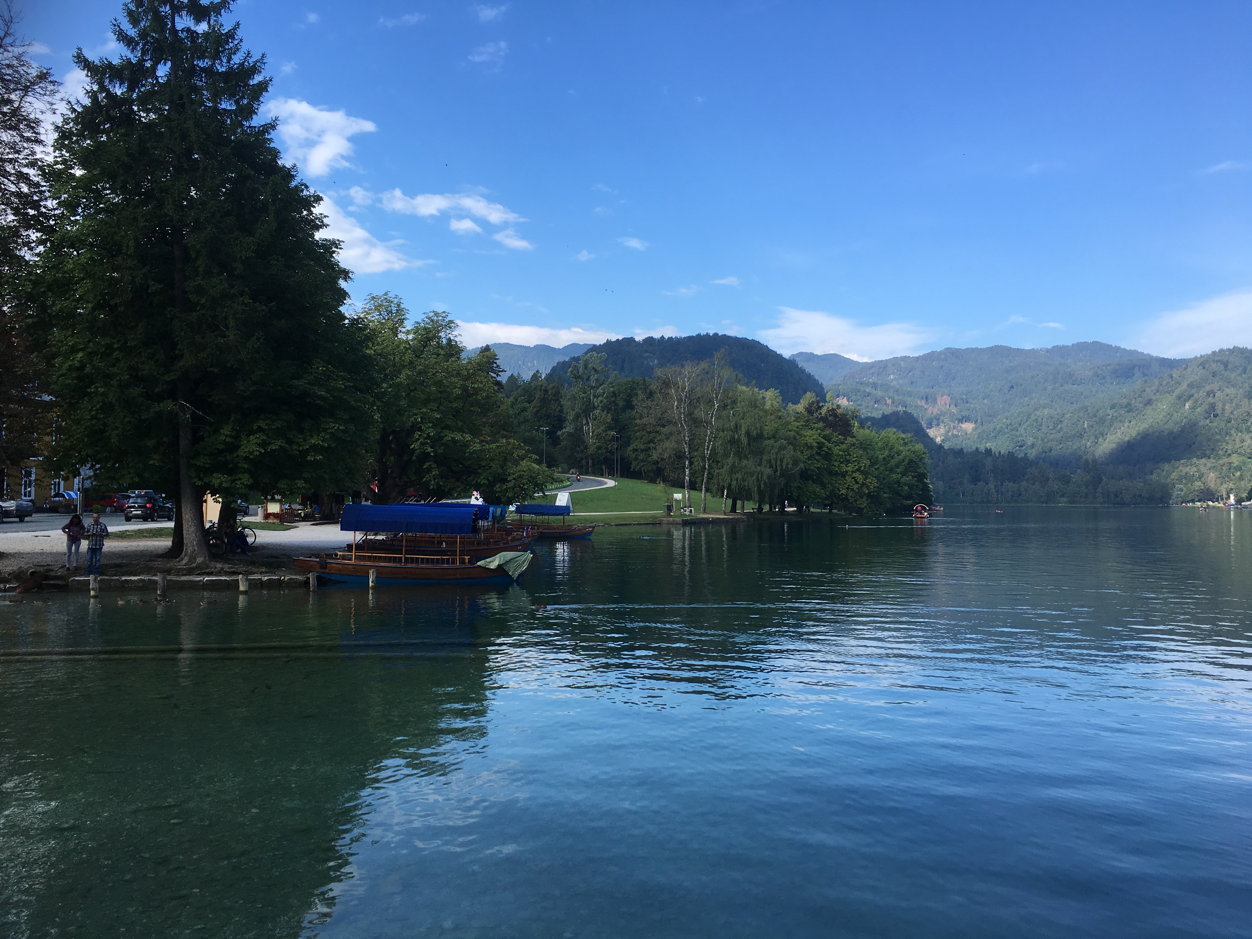 Free download high resolution image - free image free photo free stock image public domain picture -Medieval castle on the Bled lake