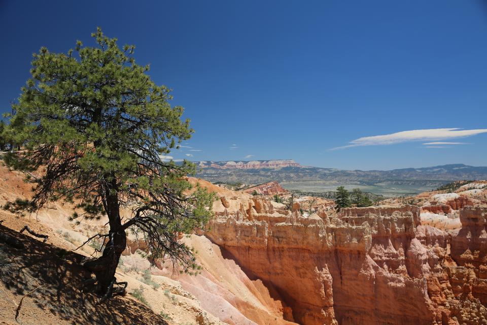 Free download high resolution image - free image free photo free stock image public domain picture  Bryce Canyon - Navajo Loop