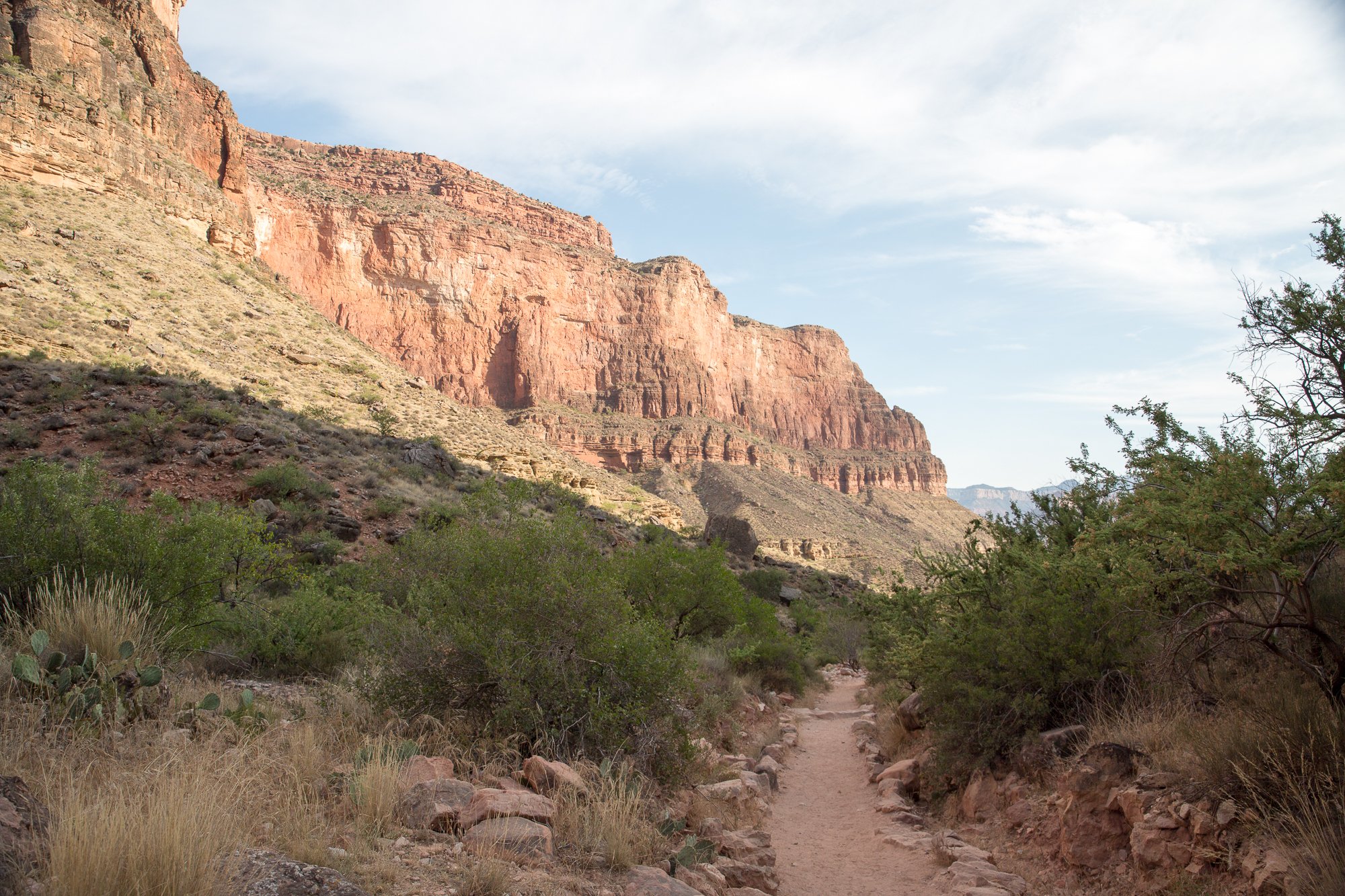 Free download high resolution image - free image free photo free stock image public domain picture -Rocky hiker path in the side of the valley of the Grand Canyon