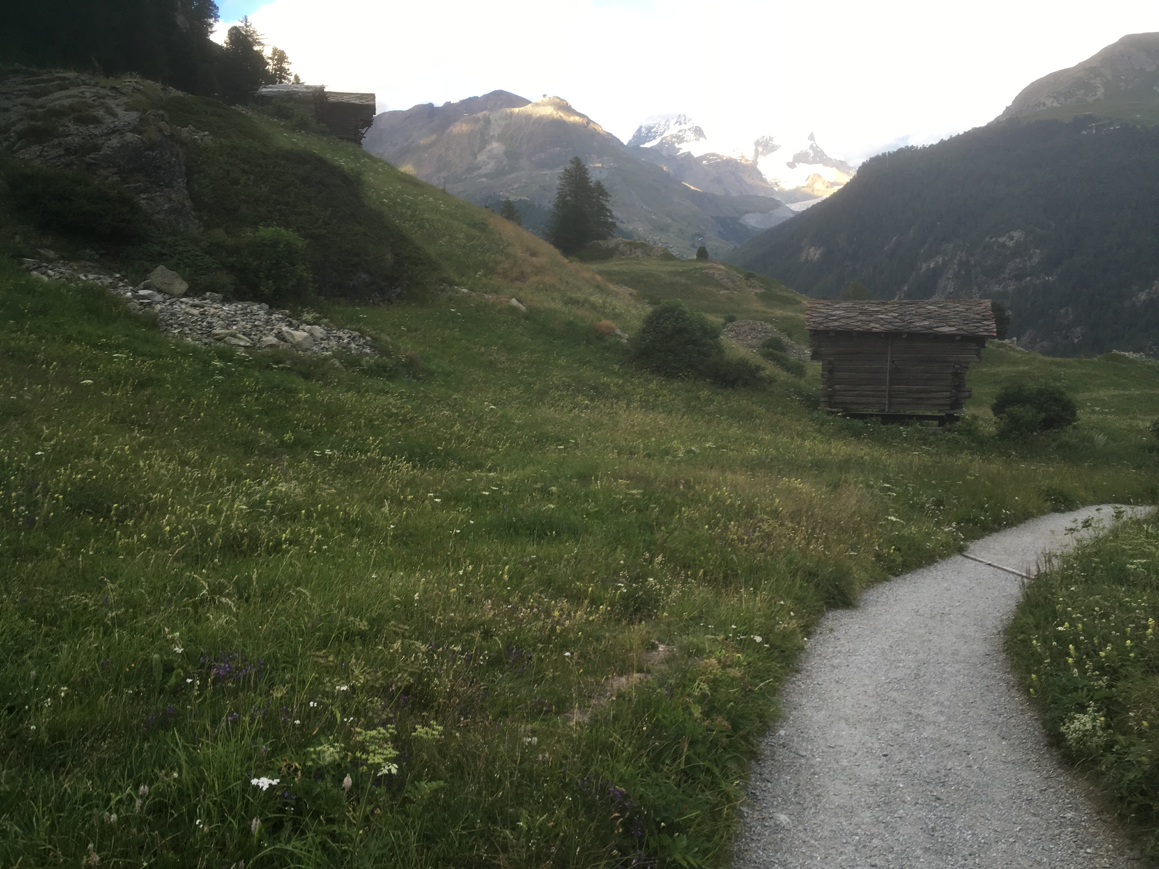 Free download high resolution image - free image free photo free stock image public domain picture -Trailing and hiking in the Alps and Zermatt Switzerland