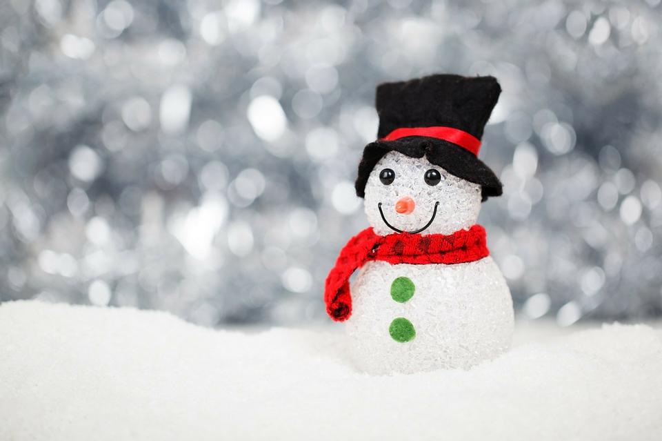 Free download high resolution image - free image free photo free stock image public domain picture  Snowman on a background the winter forest