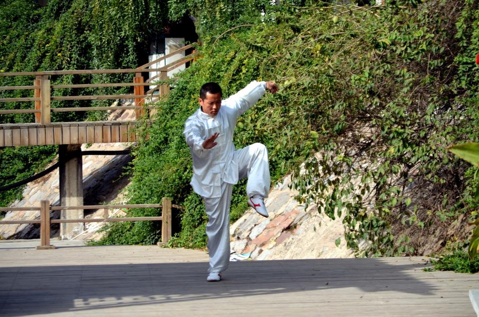 Free download high resolution image - free image free photo free stock image public domain picture  Chinese martial art posture