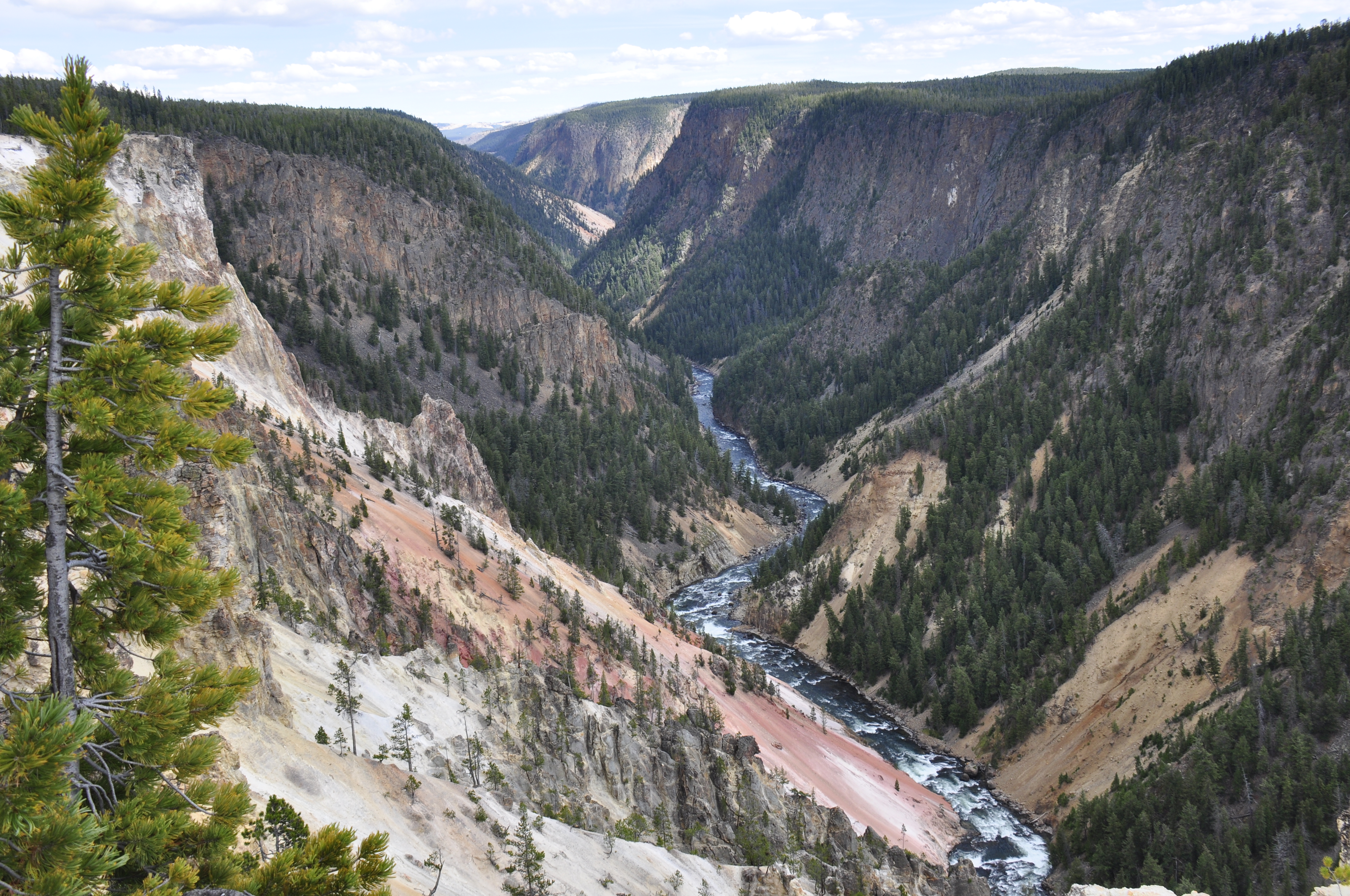 Free download high resolution image - free image free photo free stock image public domain picture -Beautiful summer view of the Lower Falls of the Yellowstone River