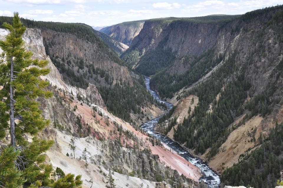 Free download high resolution image - free image free photo free stock image public domain picture  Beautiful summer view of the Lower Falls of the Yellowstone River