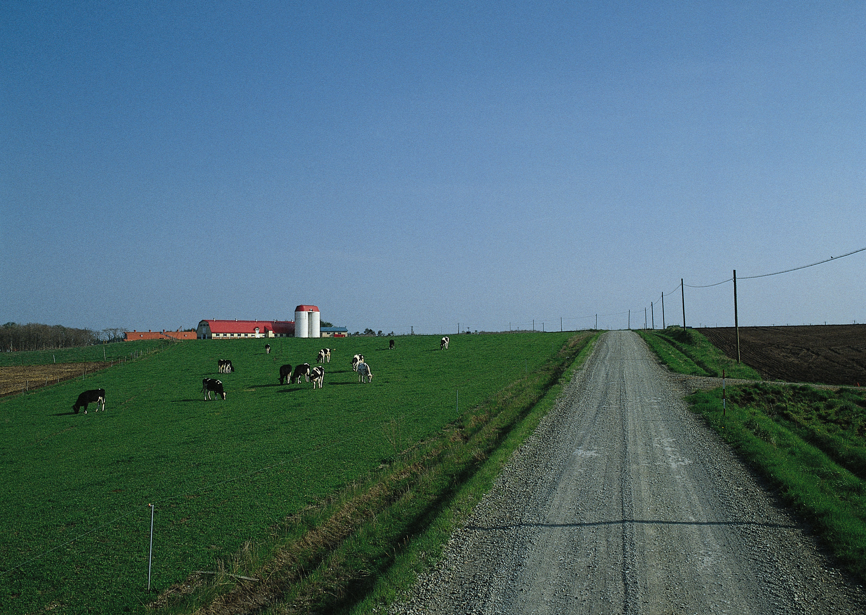 Free download high resolution image - free image free photo free stock image public domain picture -Road in field and sky